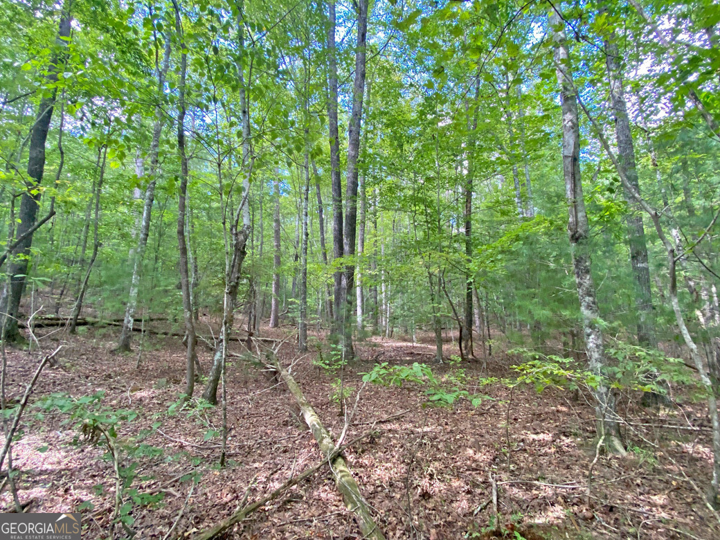 152AC Whitepath Road Ellijay GA 30540