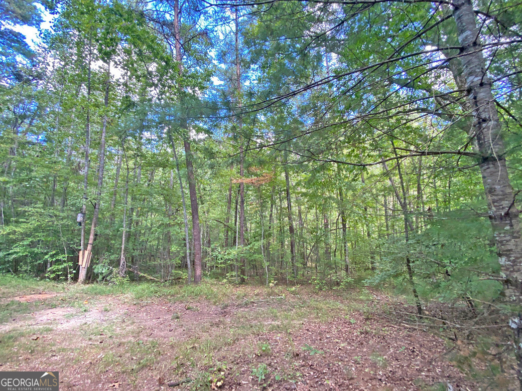 152AC Whitepath Road Ellijay GA 30540