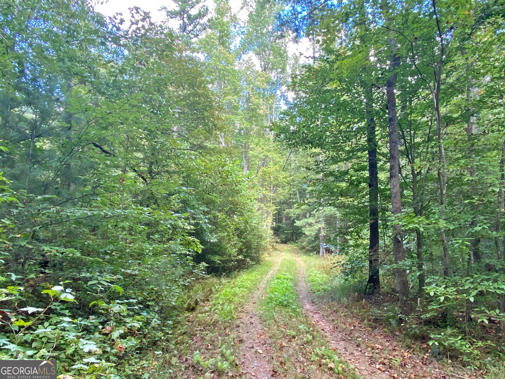 152AC Whitepath Road Ellijay GA 30540
