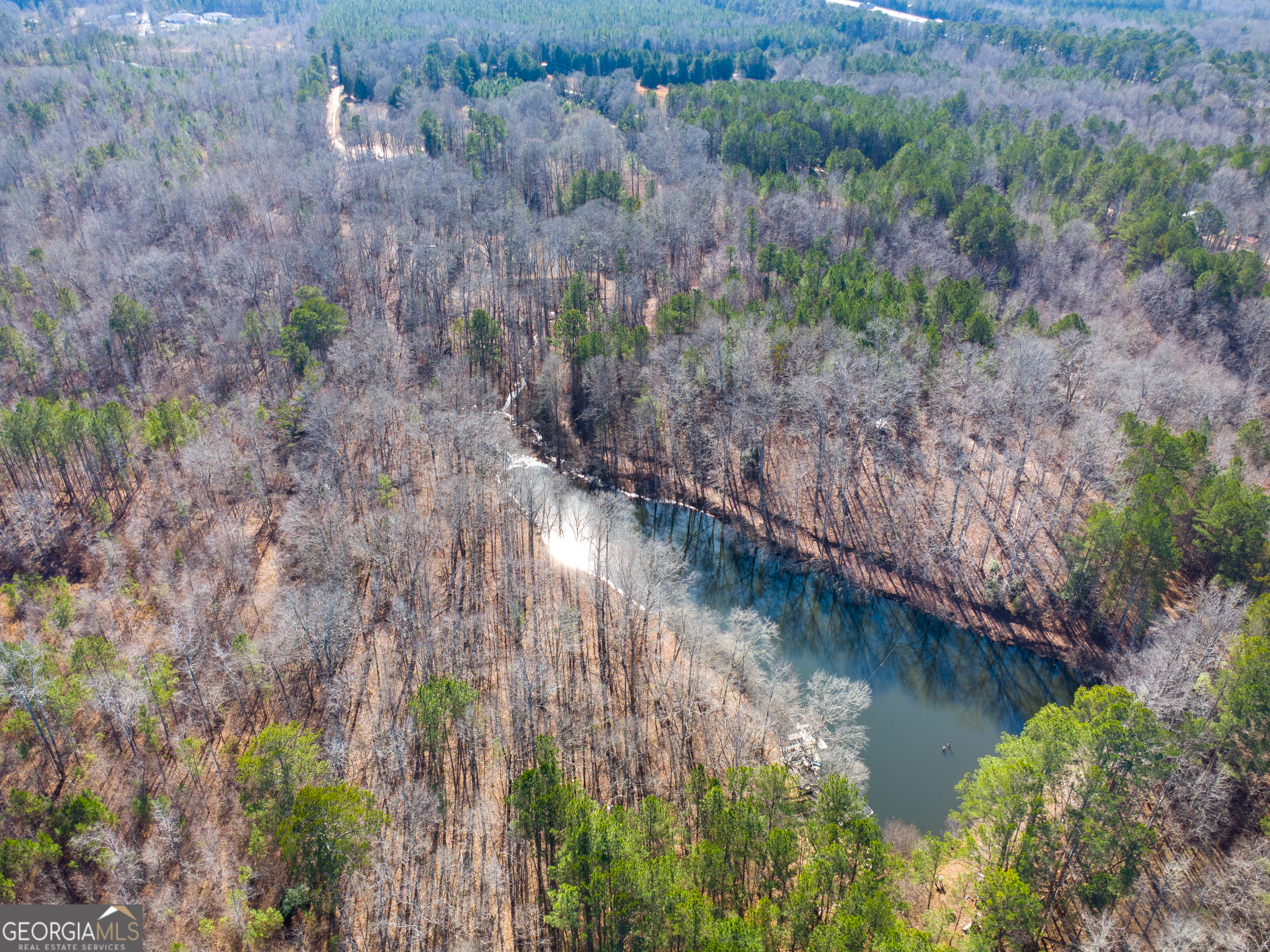 0 Levi Bradbury Road Moreland GA 30259