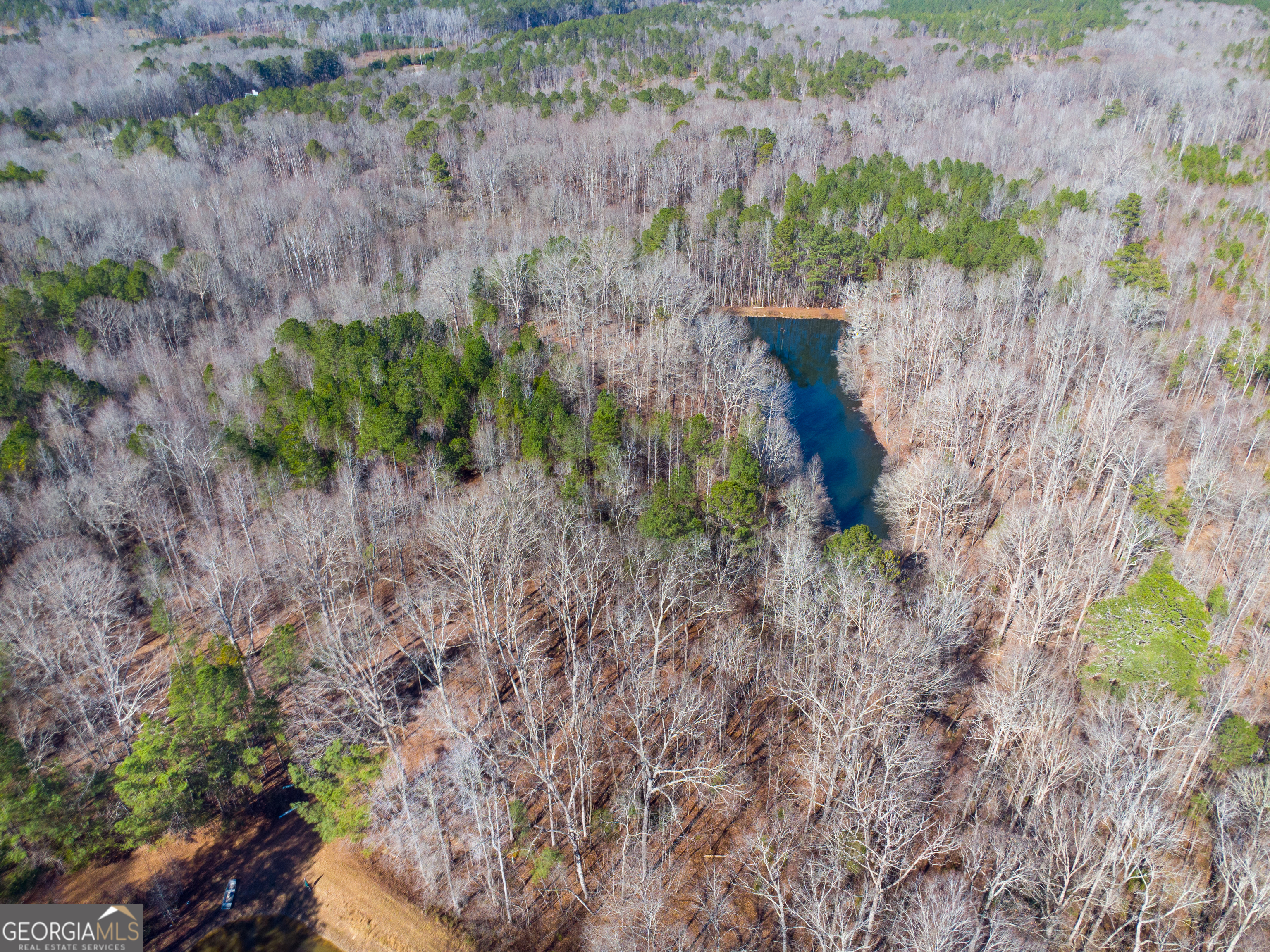 0 Levi Bradbury Road Moreland GA 30259