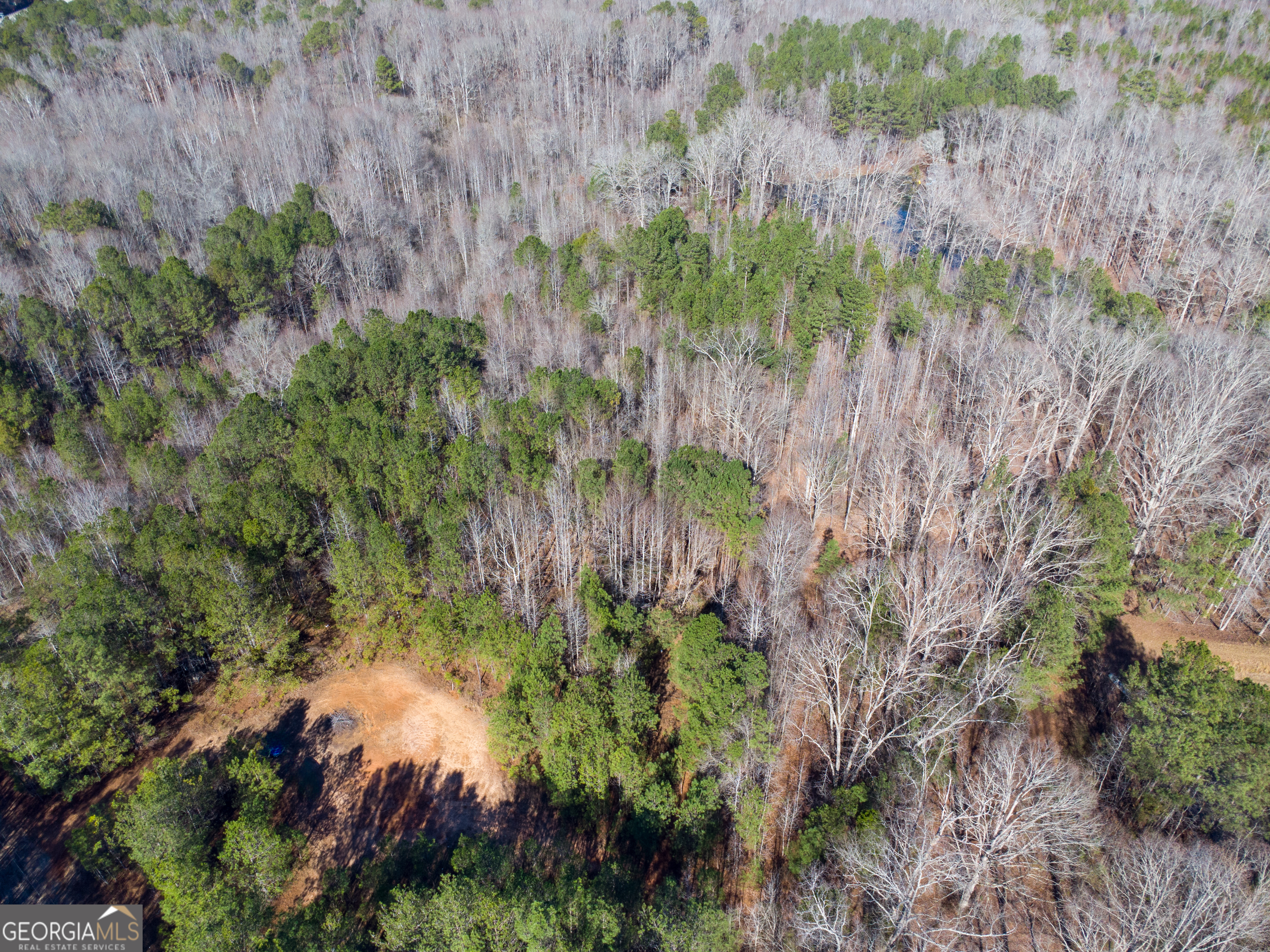 0 Levi Bradbury Road Moreland GA 30259