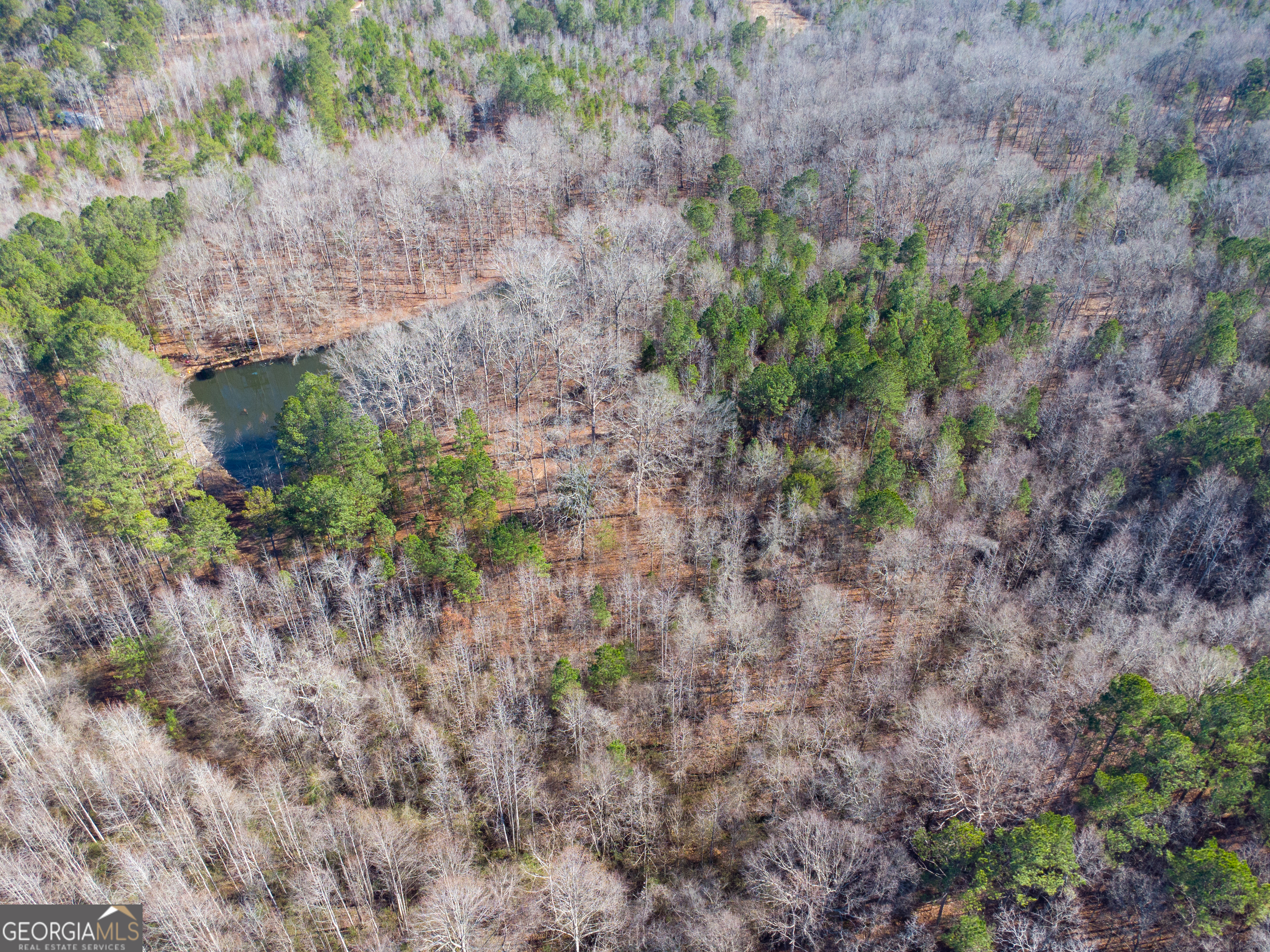0 Levi Bradbury Road Moreland GA 30259