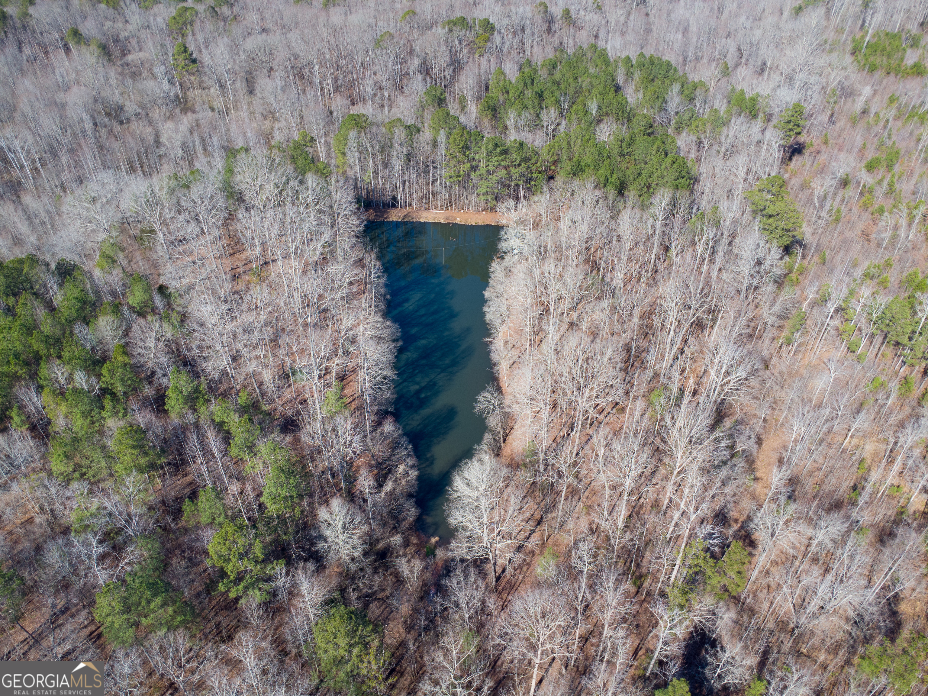 0 Levi Bradbury Road Moreland GA 30259