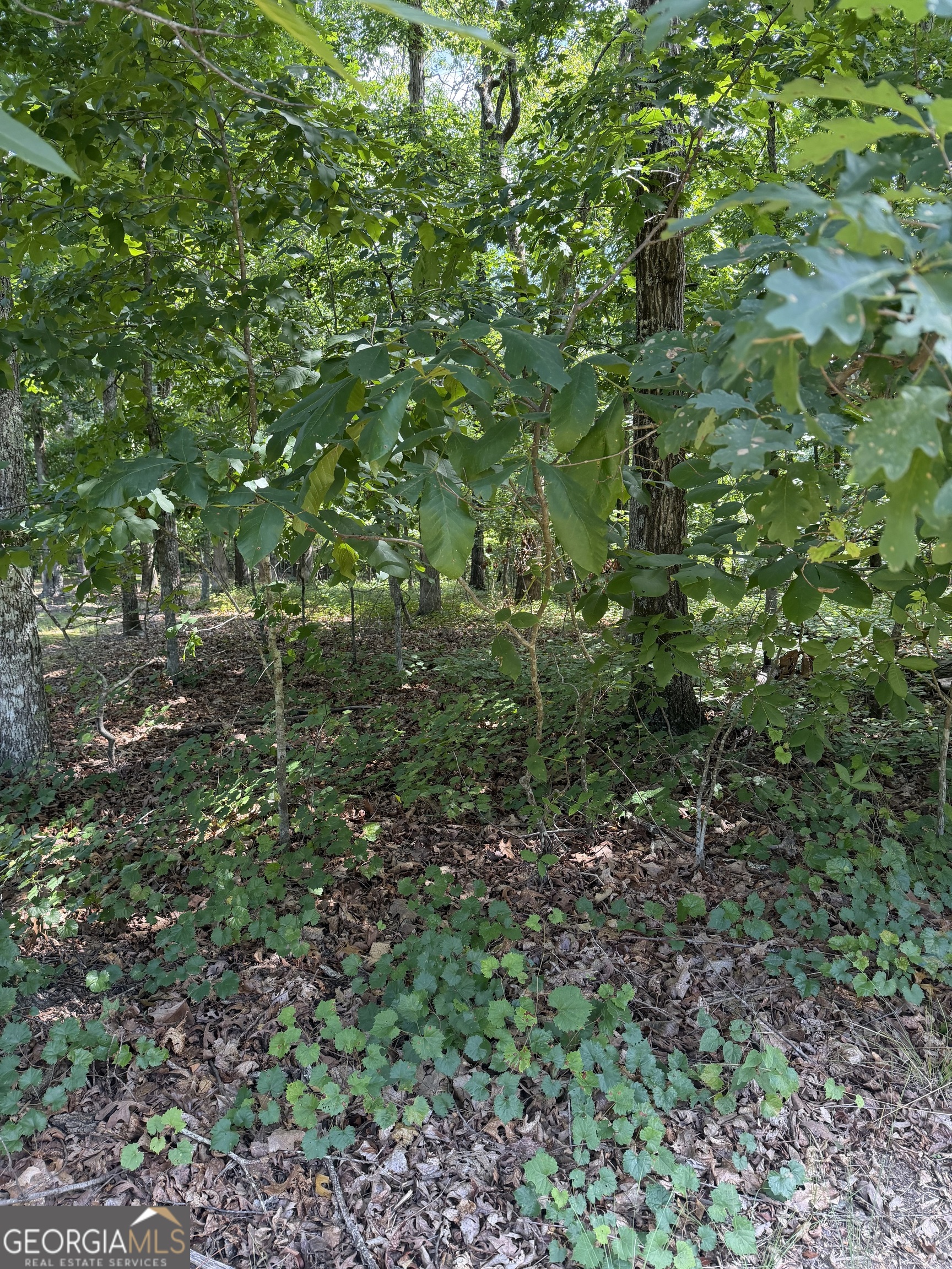 3355 Lakeview Parkway Villa Rica GA 30180