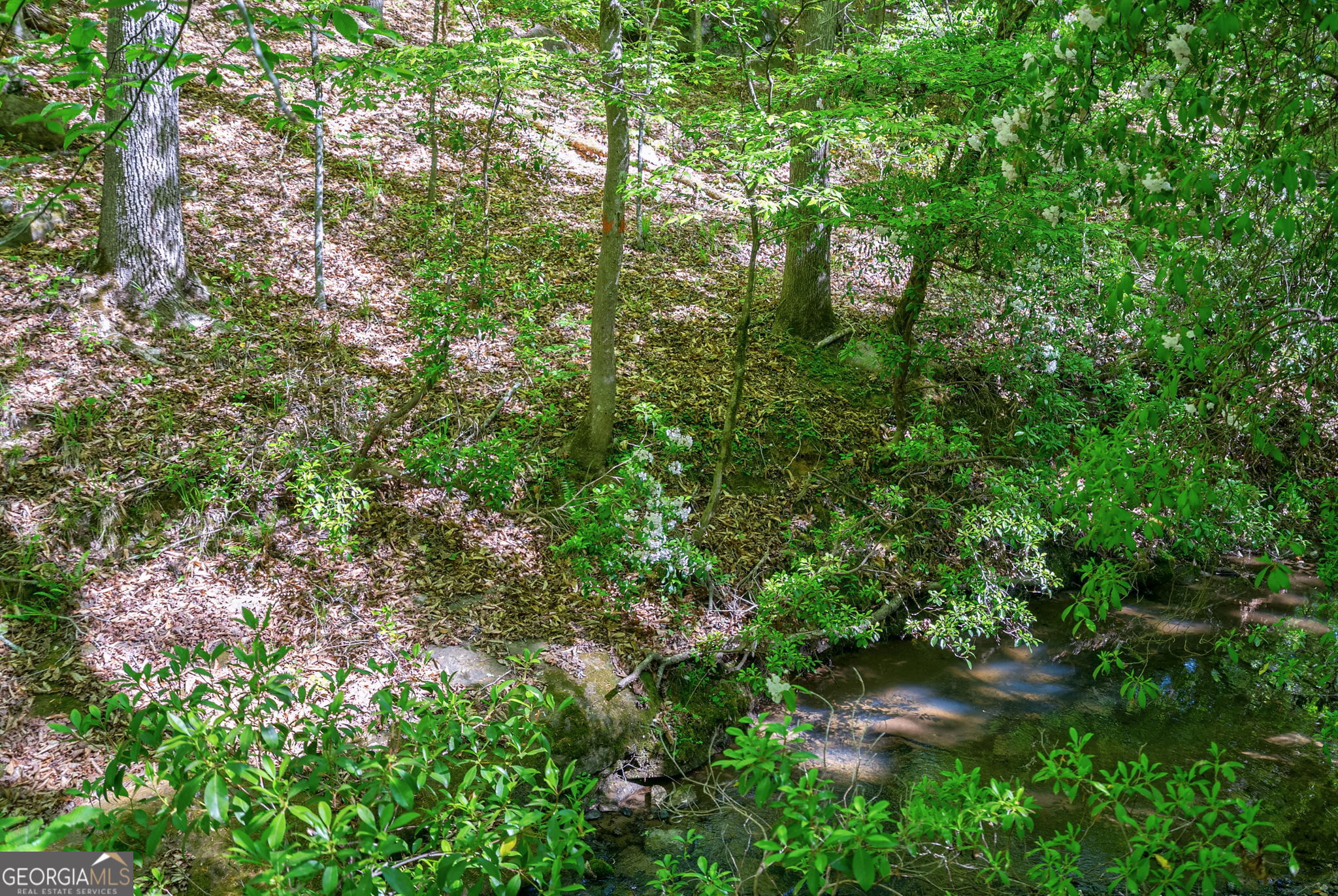 0 Brewer's Bridge Road Elberton GA 30635