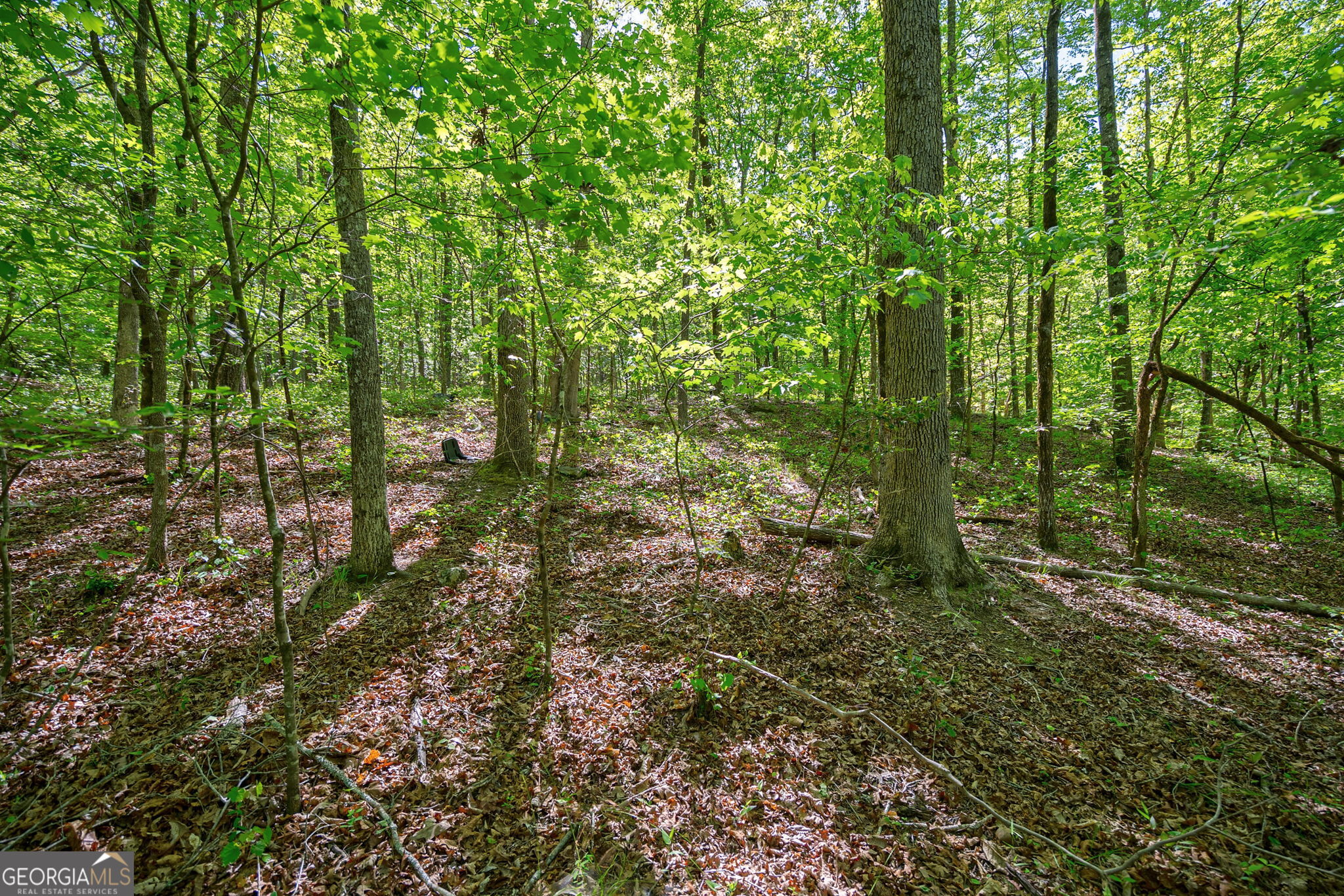 0 Brewer's Bridge Road Elberton GA 30635