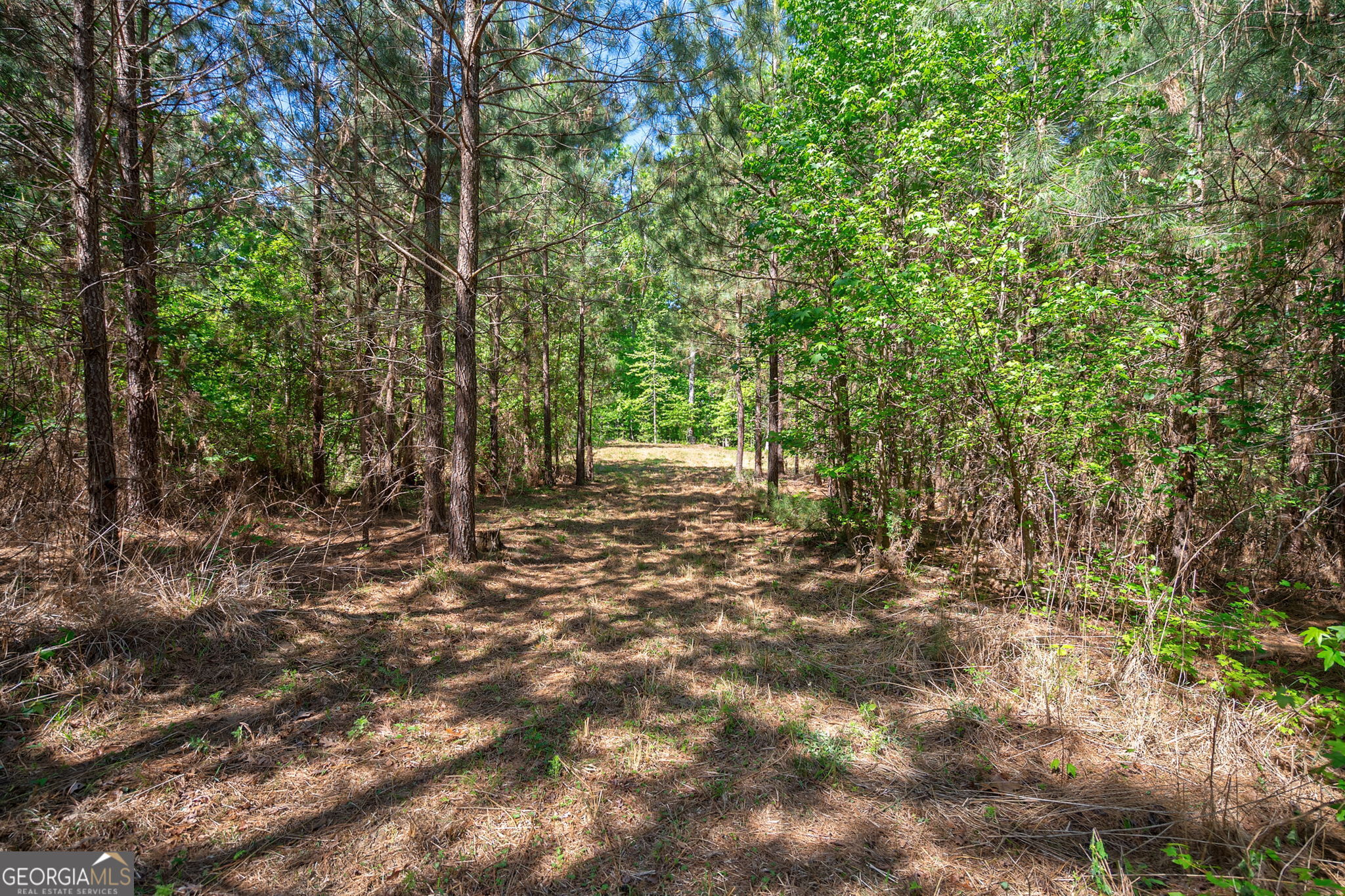 0 Brewer's Bridge Road Elberton GA 30635