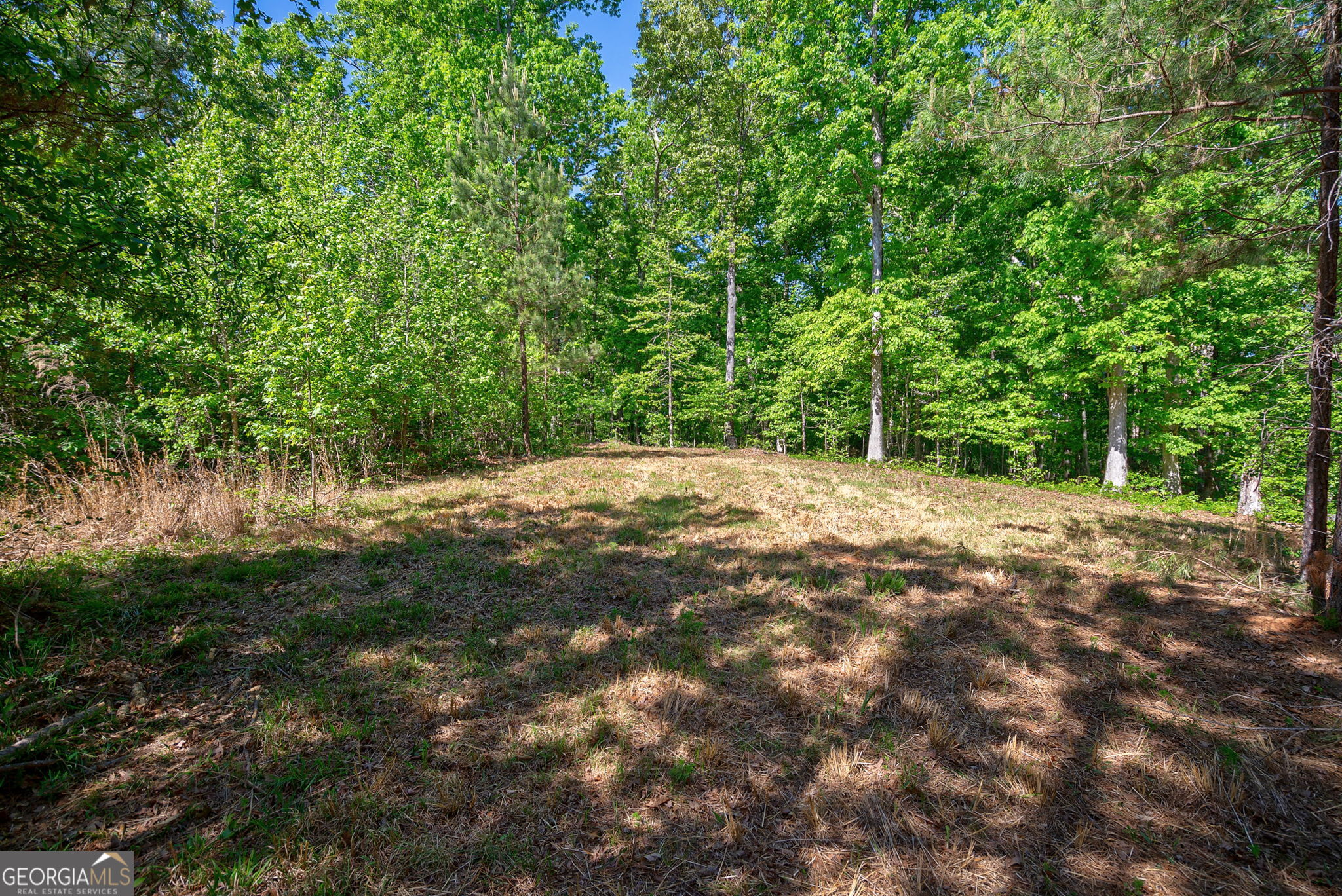 0 Brewer's Bridge Road Elberton GA 30635