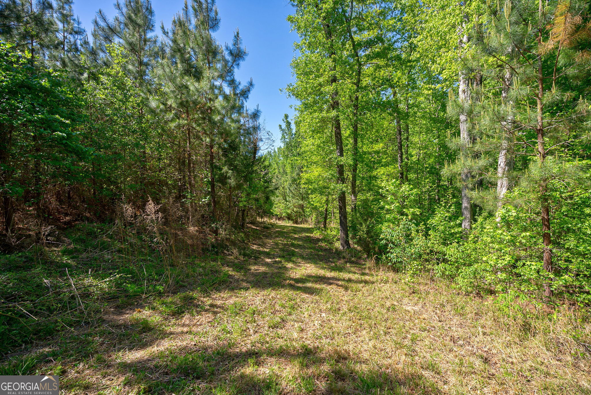 0 Brewer's Bridge Road Elberton GA 30635
