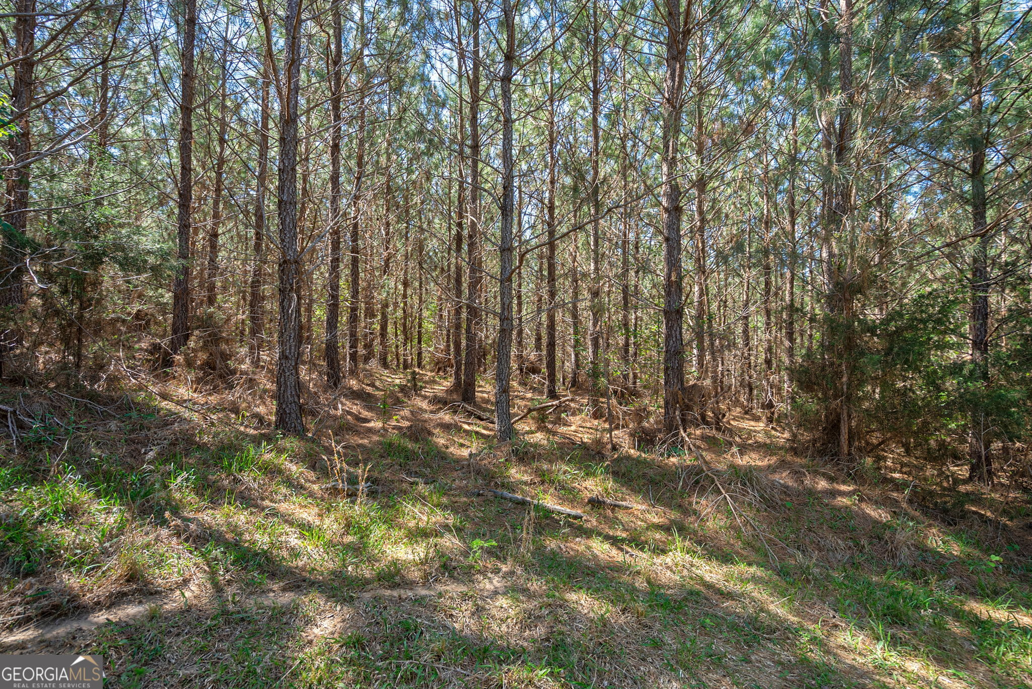 0 Brewer's Bridge Road Elberton GA 30635