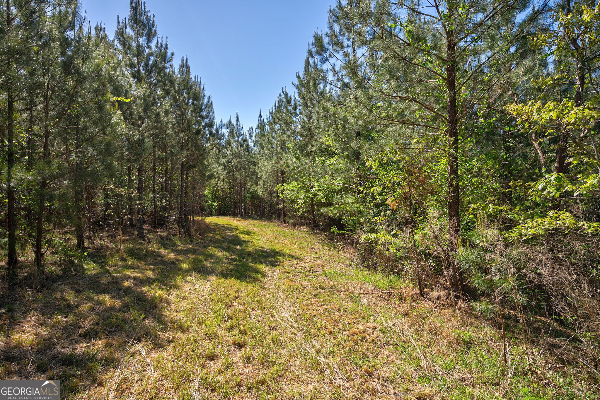 0 Brewer's Bridge Road Elberton GA 30635
