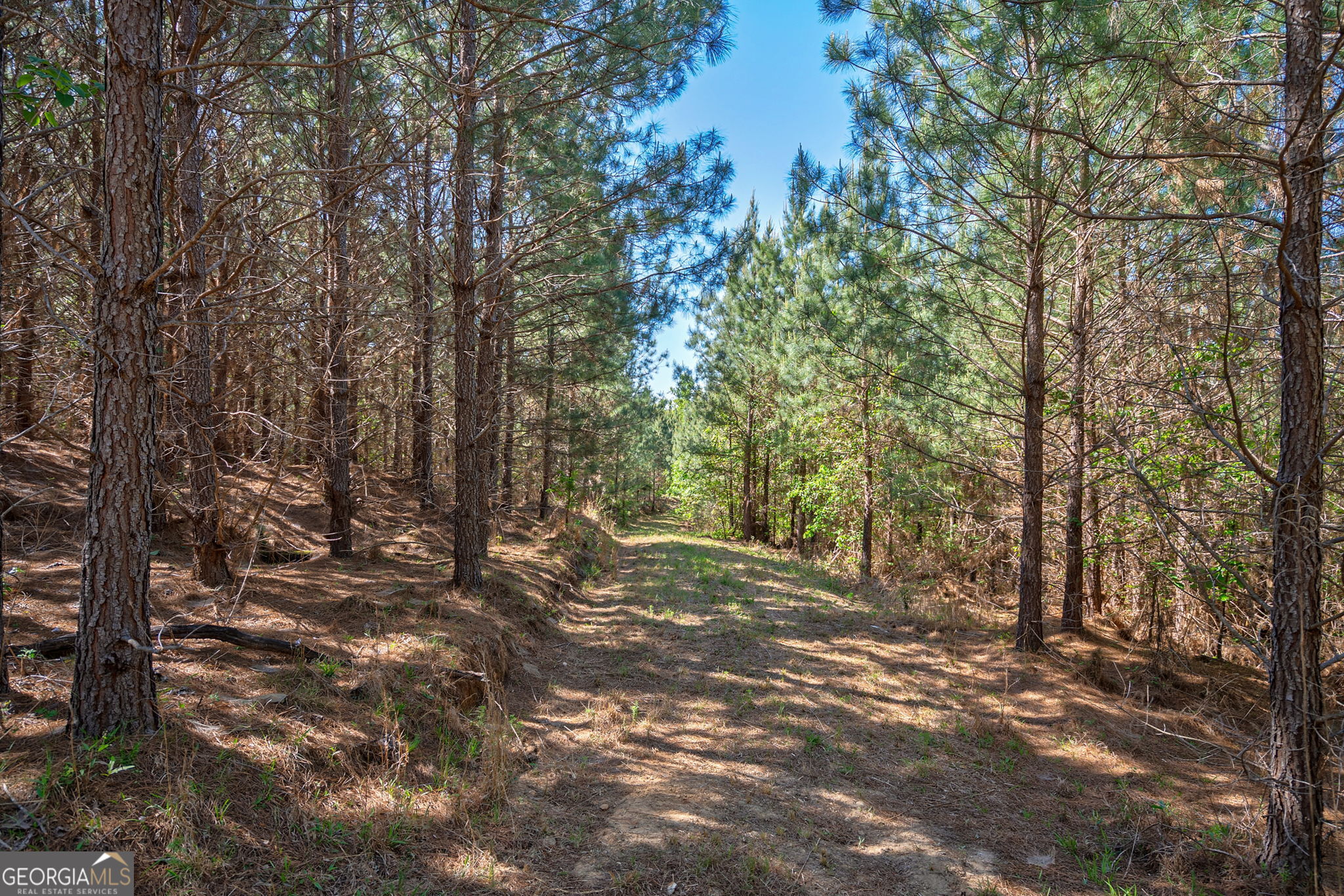 0 Brewer's Bridge Road Elberton GA 30635