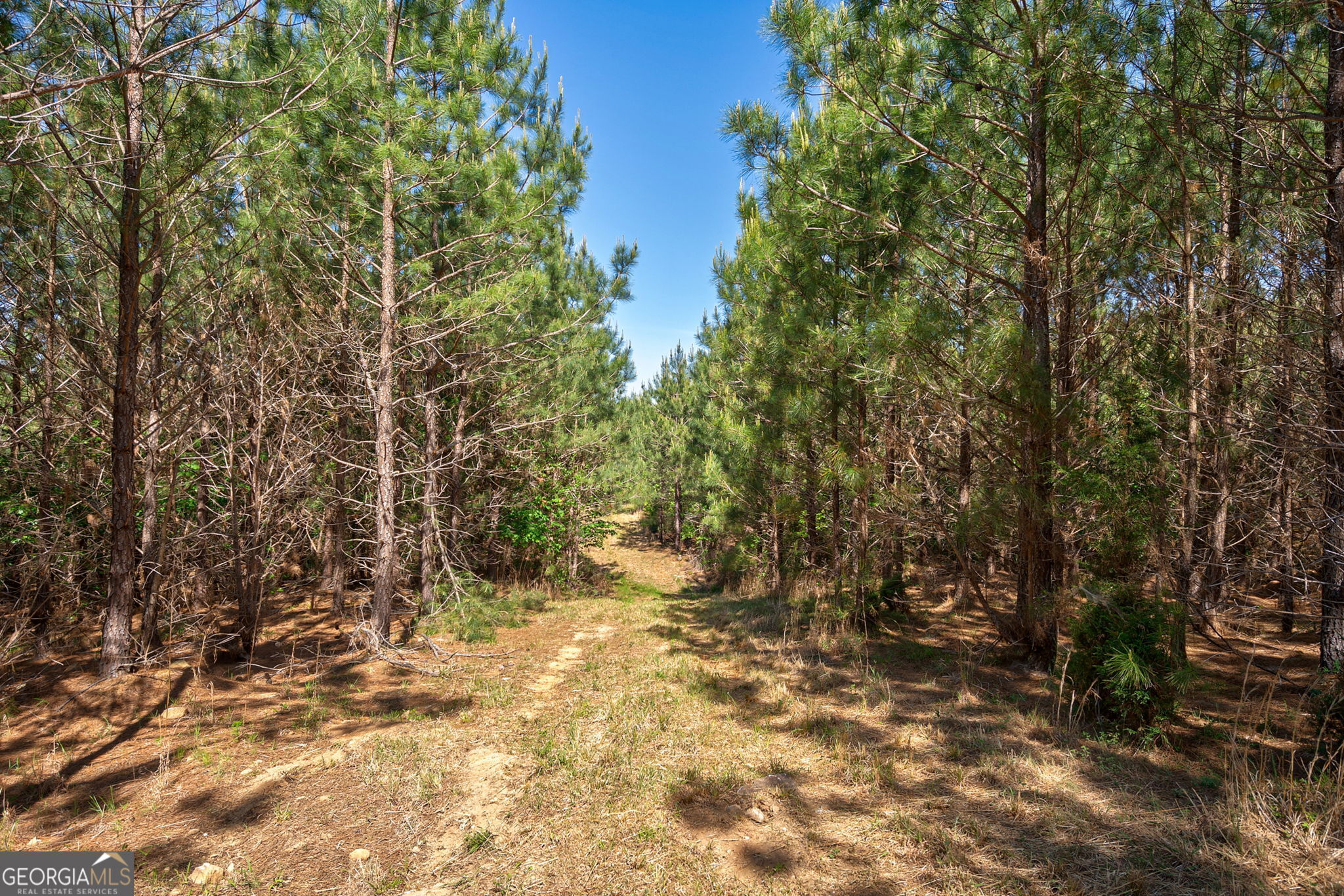 0 Brewer's Bridge Road Elberton GA 30635