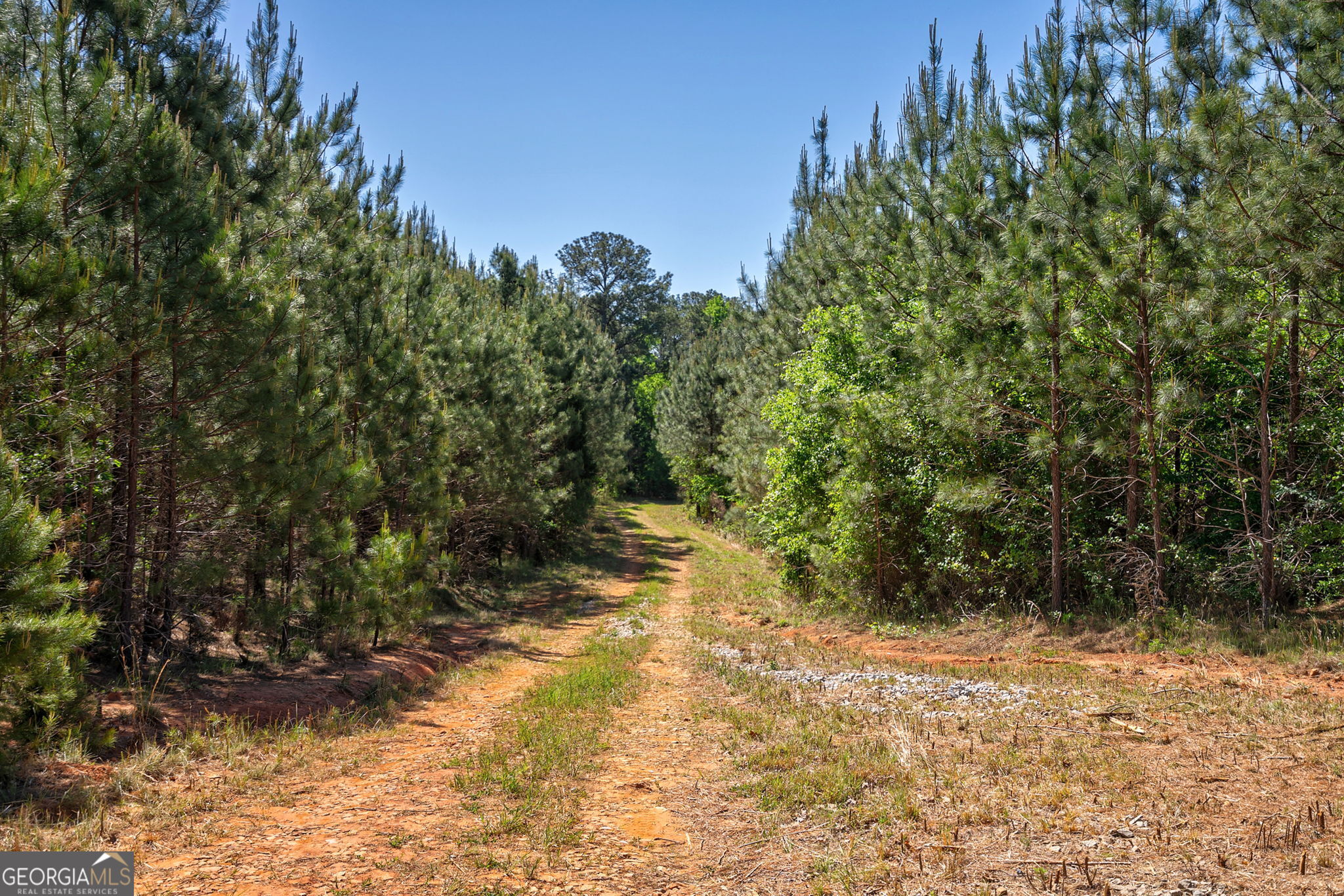 0 Brewer's Bridge Road Elberton GA 30635
