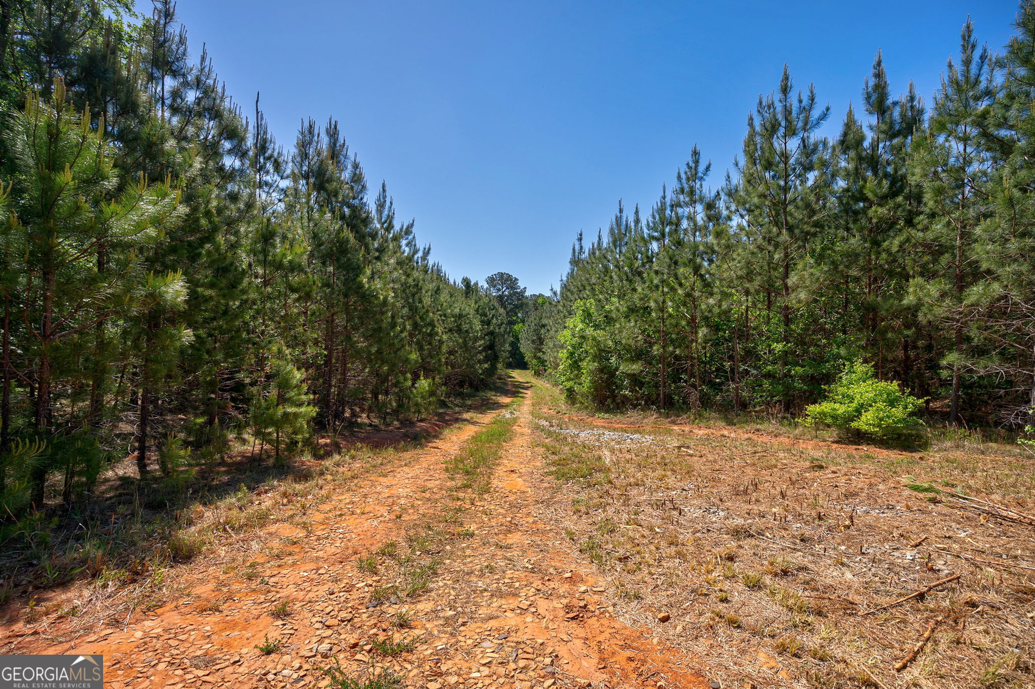 0 Brewer's Bridge Road Elberton GA 30635