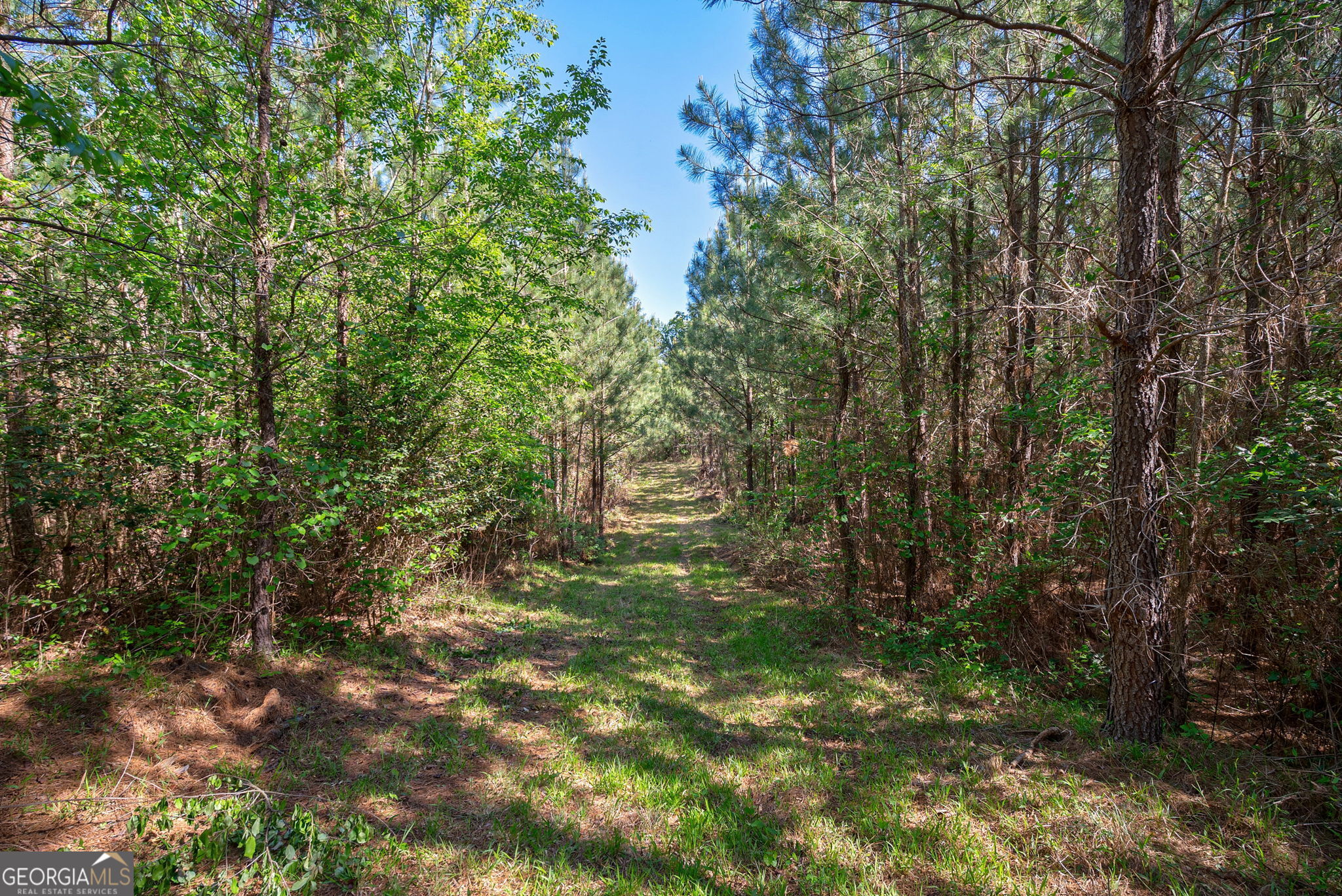 0 Brewer's Bridge Road Elberton GA 30635
