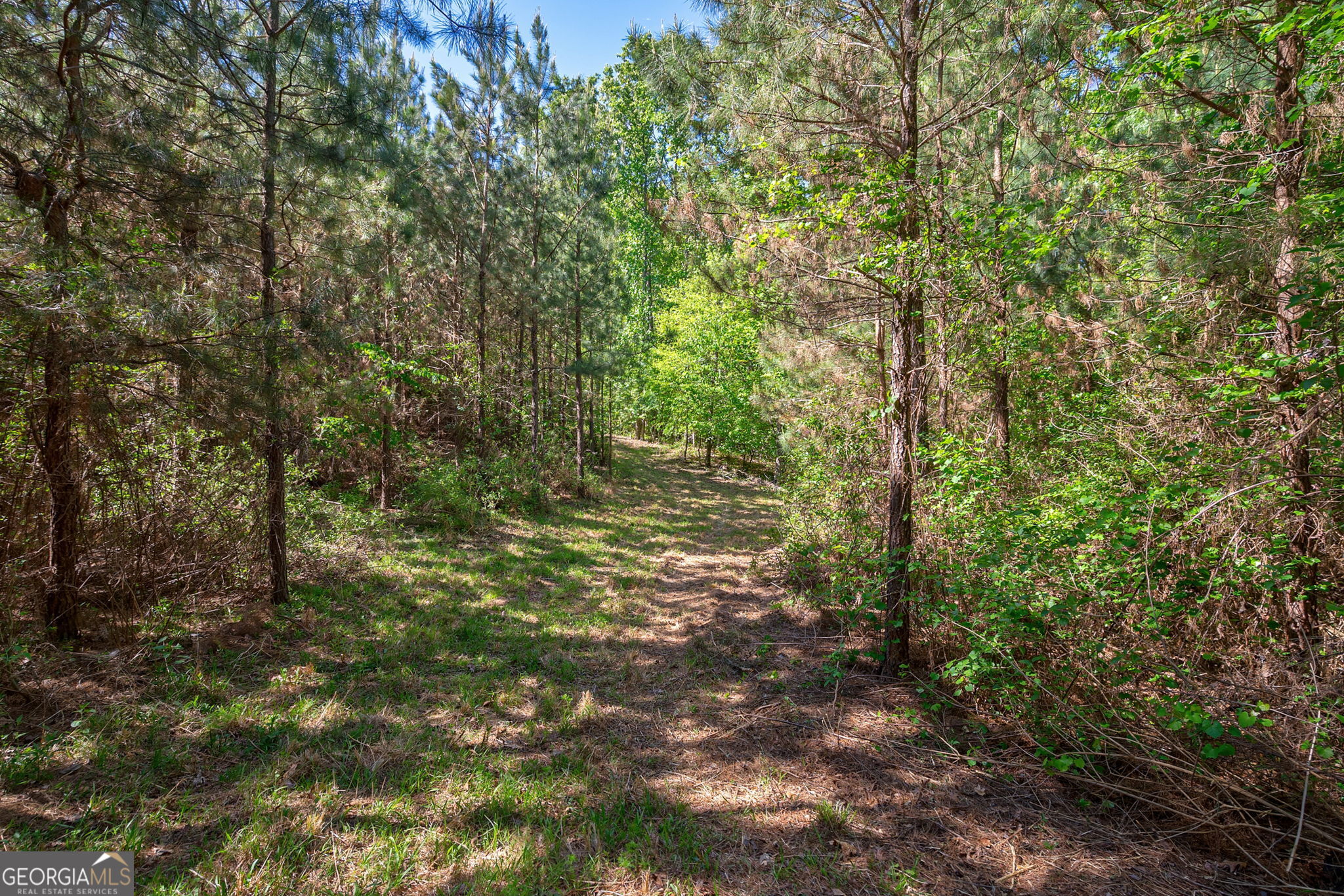 0 Brewer's Bridge Road Elberton GA 30635
