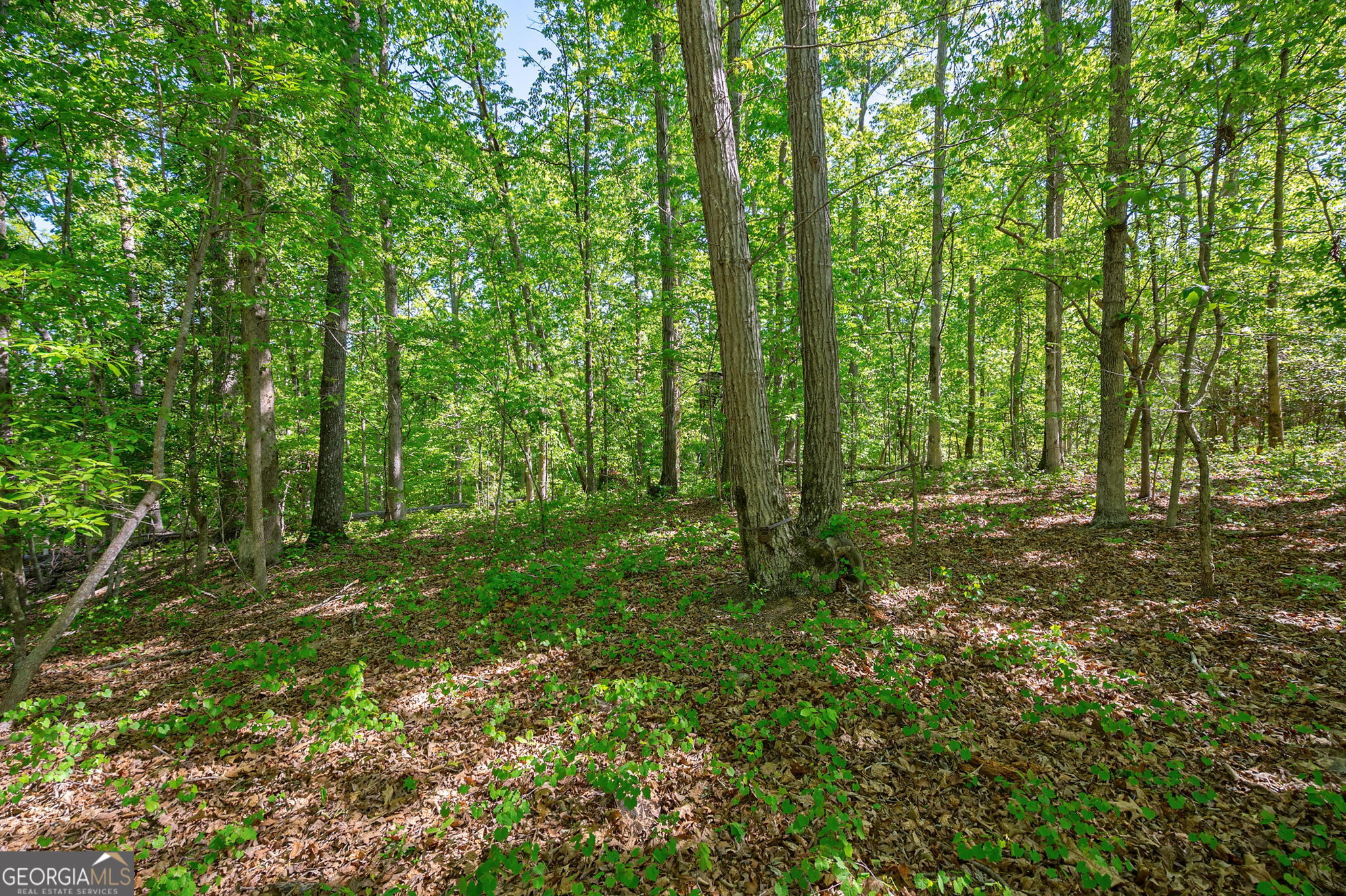 0 Brewer's Bridge Road Elberton GA 30635