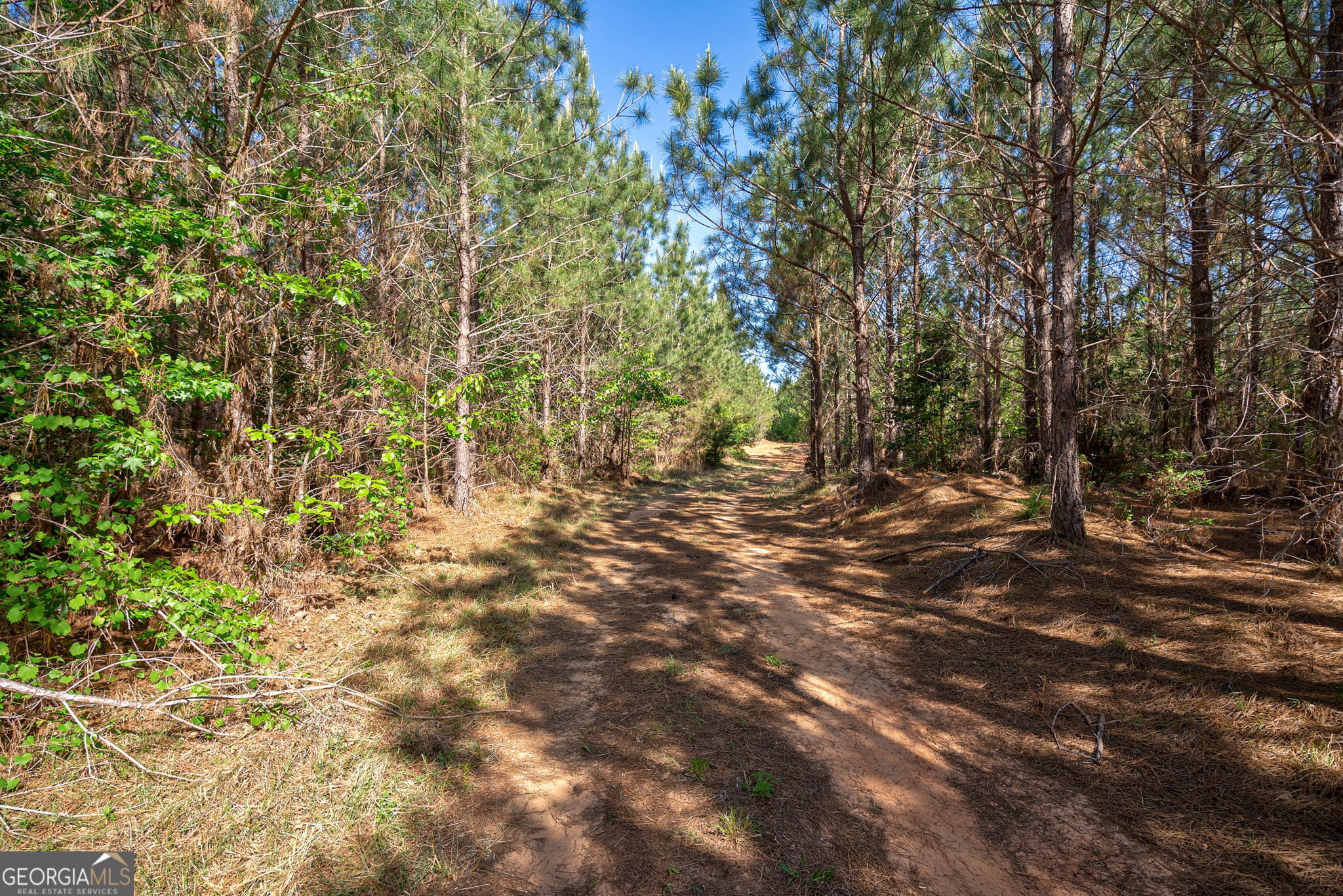0 Brewer's Bridge Road Elberton GA 30635