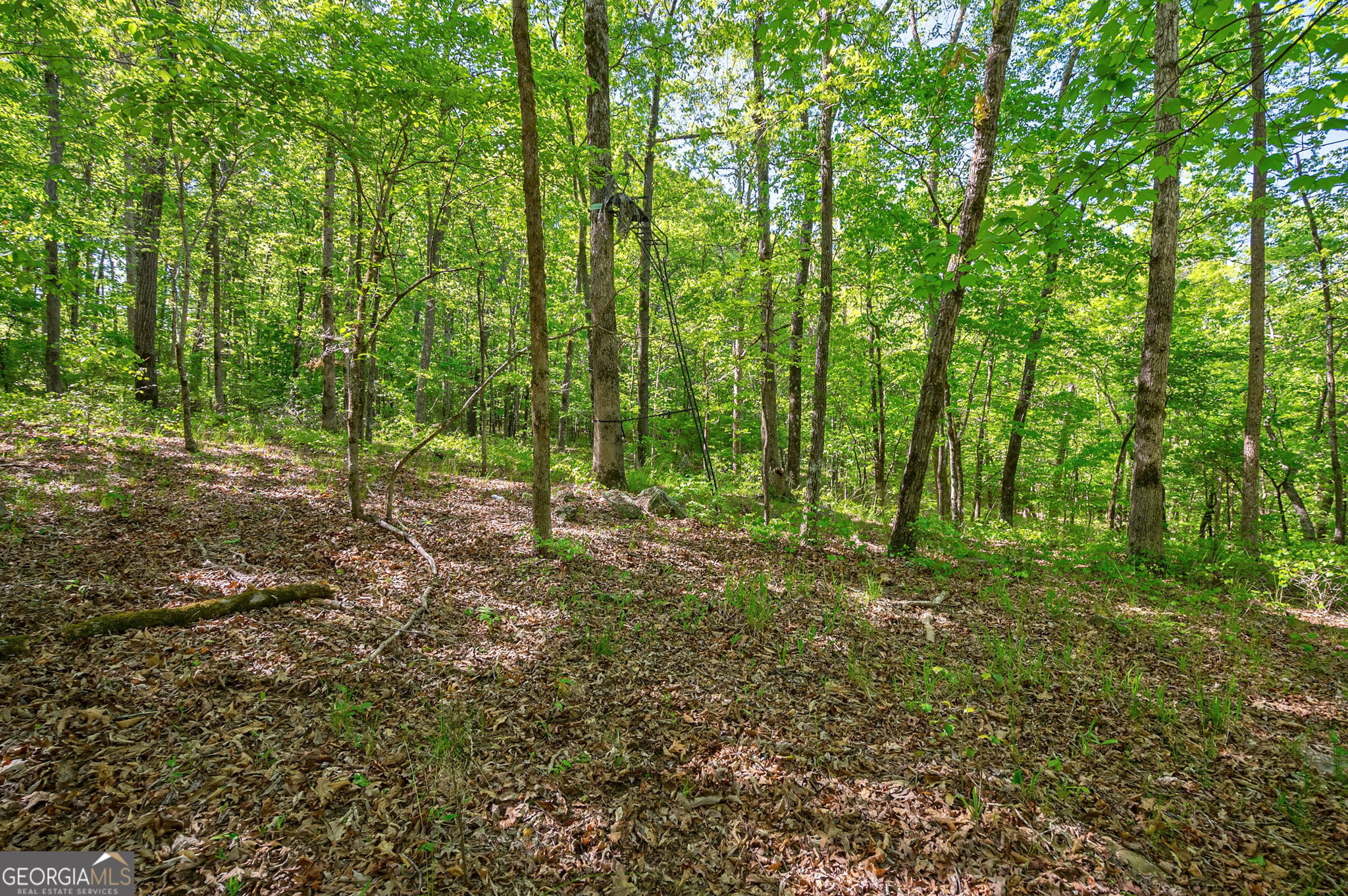 0 Brewer's Bridge Road Elberton GA 30635