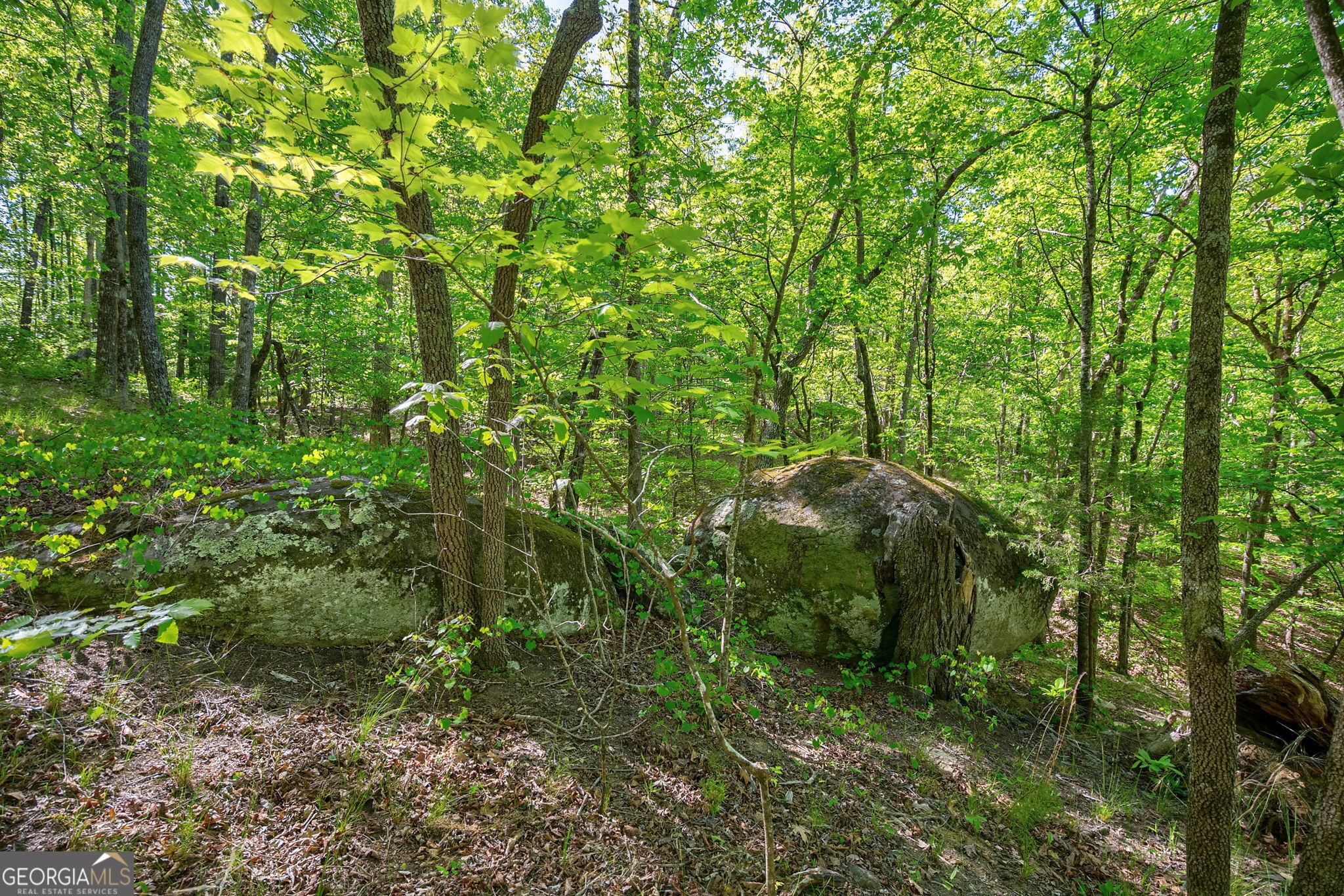 0 Brewer's Bridge Road Elberton GA 30635