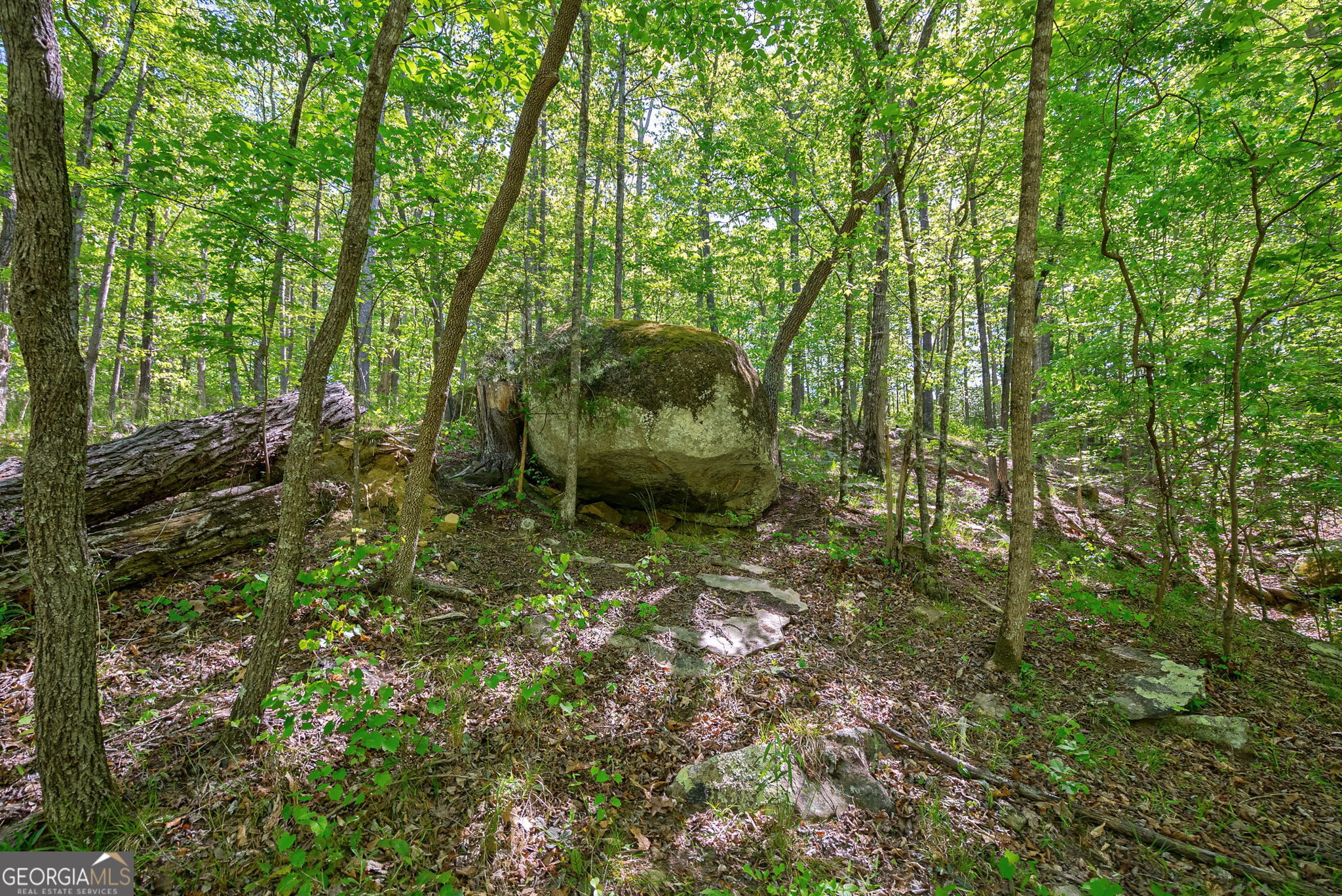 0 Brewer's Bridge Road Elberton GA 30635