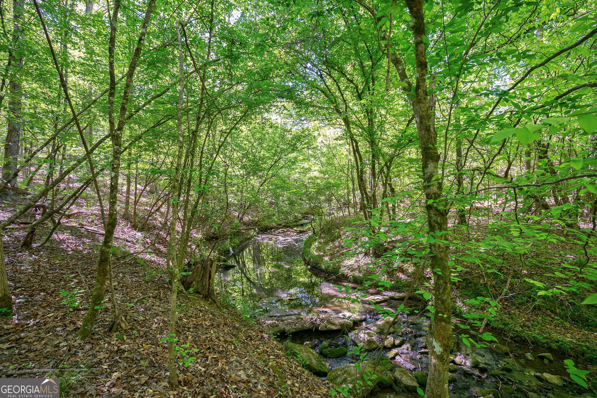 0 Brewer's Bridge Road Elberton GA 30635