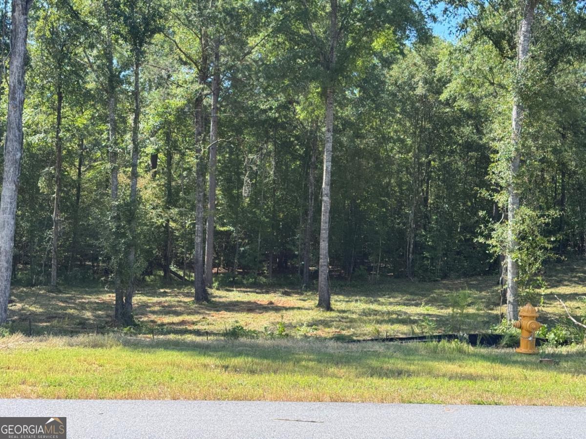 100 Falls Lane Milledgeville GA 31061