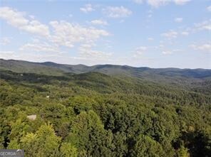 3005 Wild Turkey Knoll Jasper GA 30143