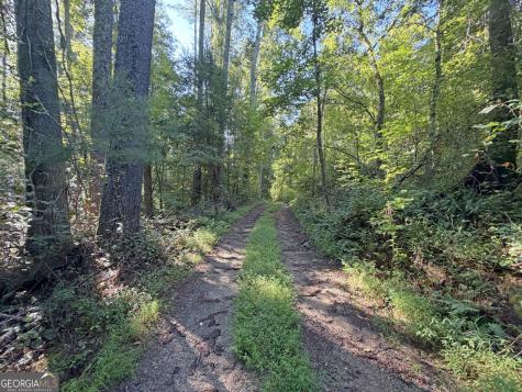 505 Hank Fry Road Clarkesville GA 30523
