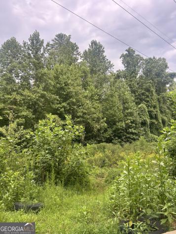 505 Hank Fry Road Clarkesville GA 30523