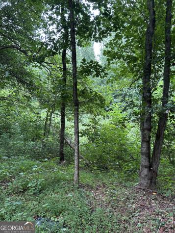 505 Hank Fry Road Clarkesville GA 30523