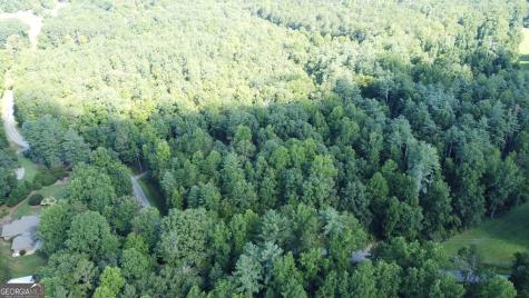 505 Hank Fry Road Clarkesville GA 30523