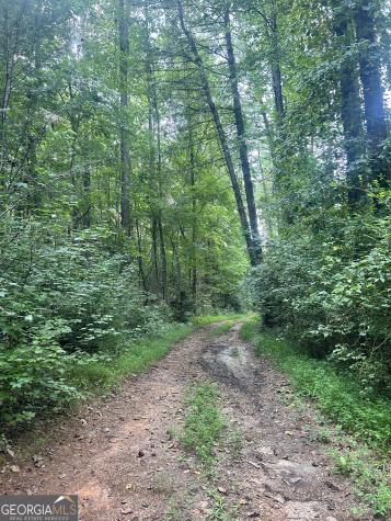 505 Hank Fry Road Clarkesville GA 30523
