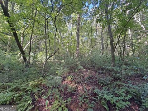 505 Hank Fry Road Clarkesville GA 30523