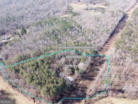 505 Hank Fry Road Clarkesville GA 30523