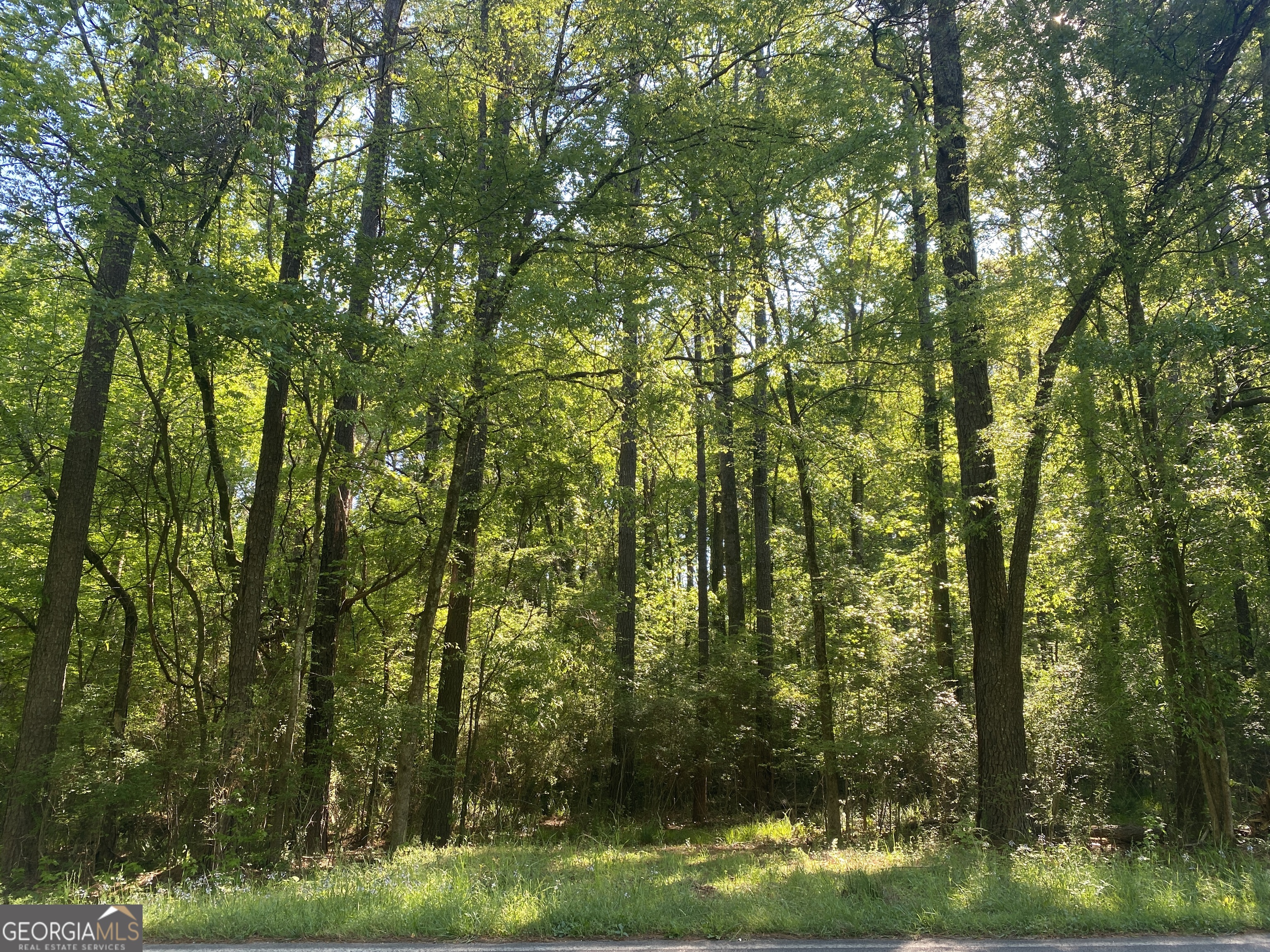 364 Turnerwoods Road Gray GA 31032