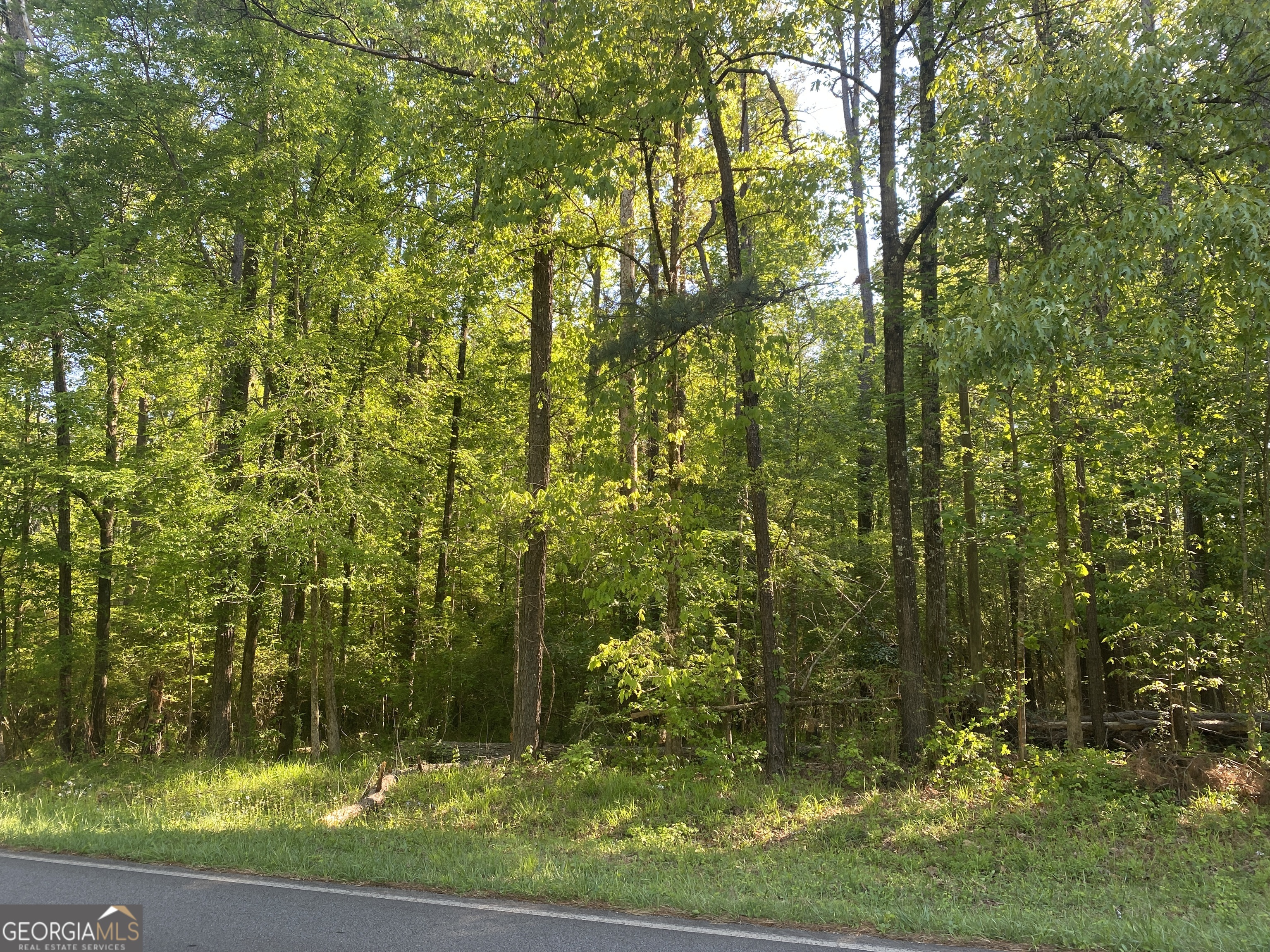 364 Turnerwoods Road Gray GA 31032