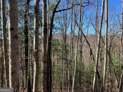 406 Barefoot Rise Hiawassee GA 30546