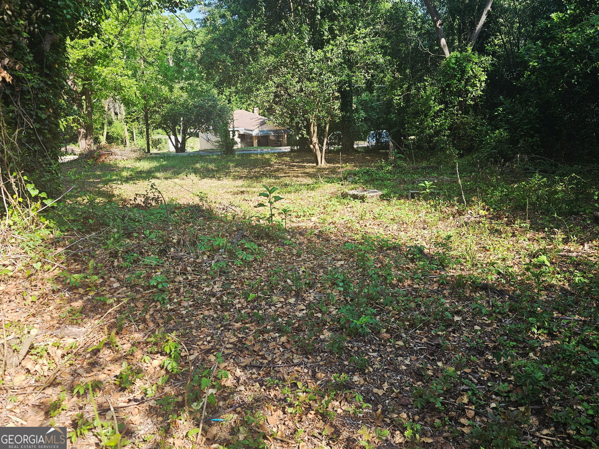 373 Gaillard Street Macon GA 31204