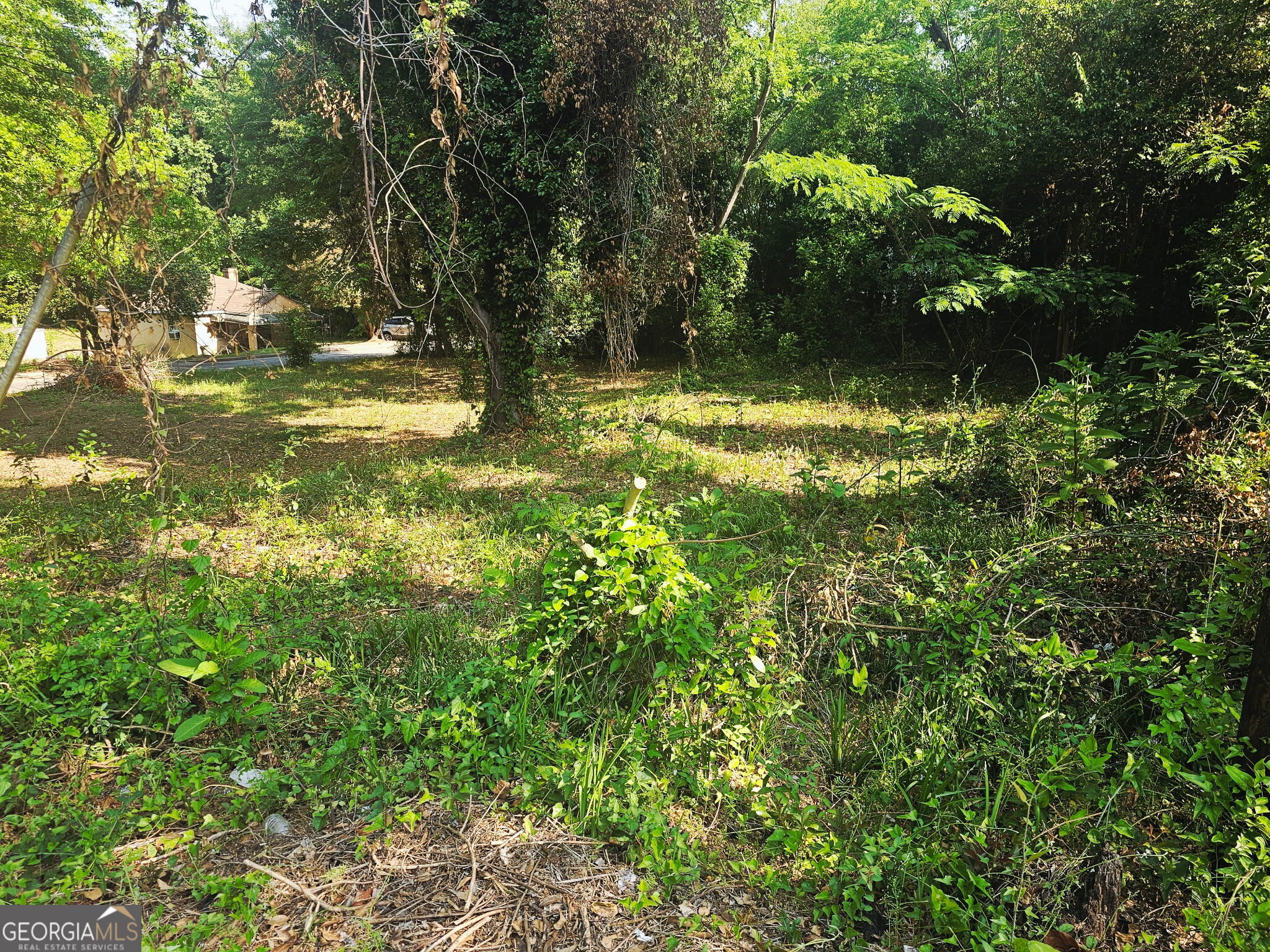 373 Gaillard Street Macon GA 31204