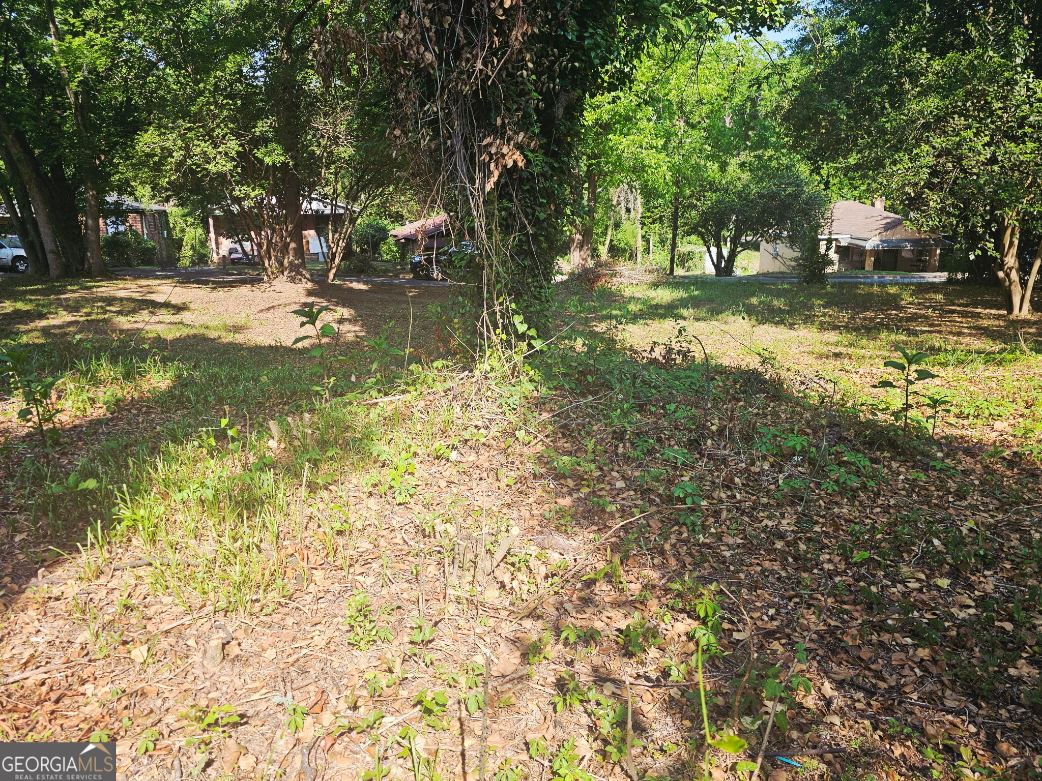 373 Gaillard Street Macon GA 31204
