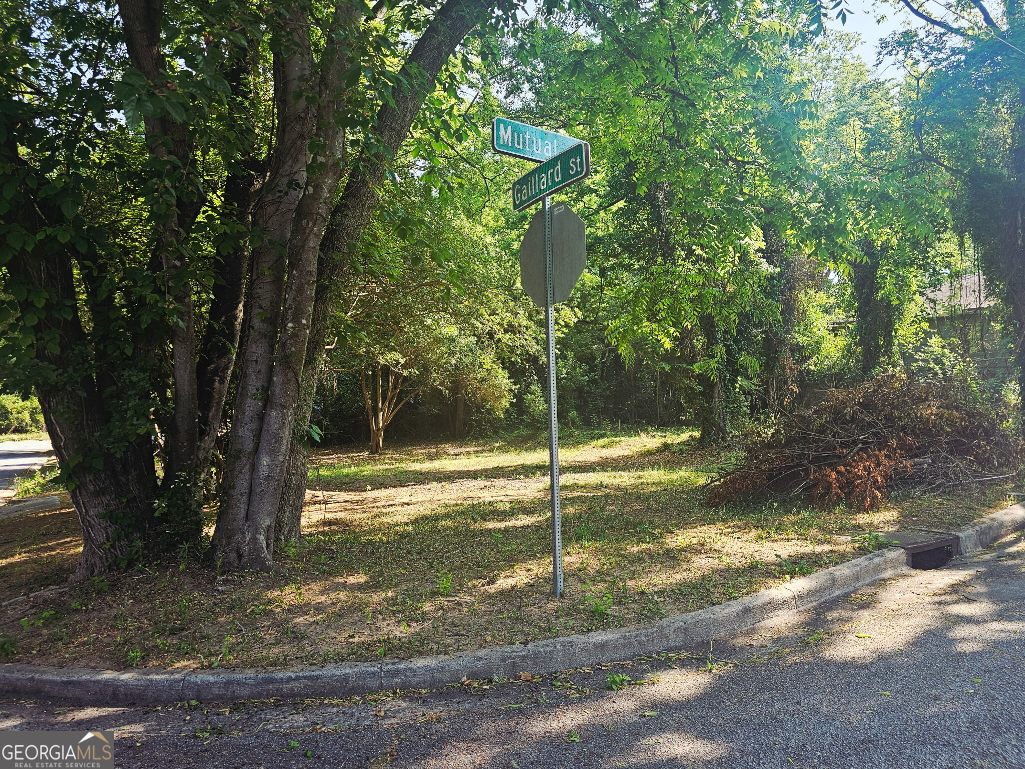 373 Gaillard Street Macon GA 31204