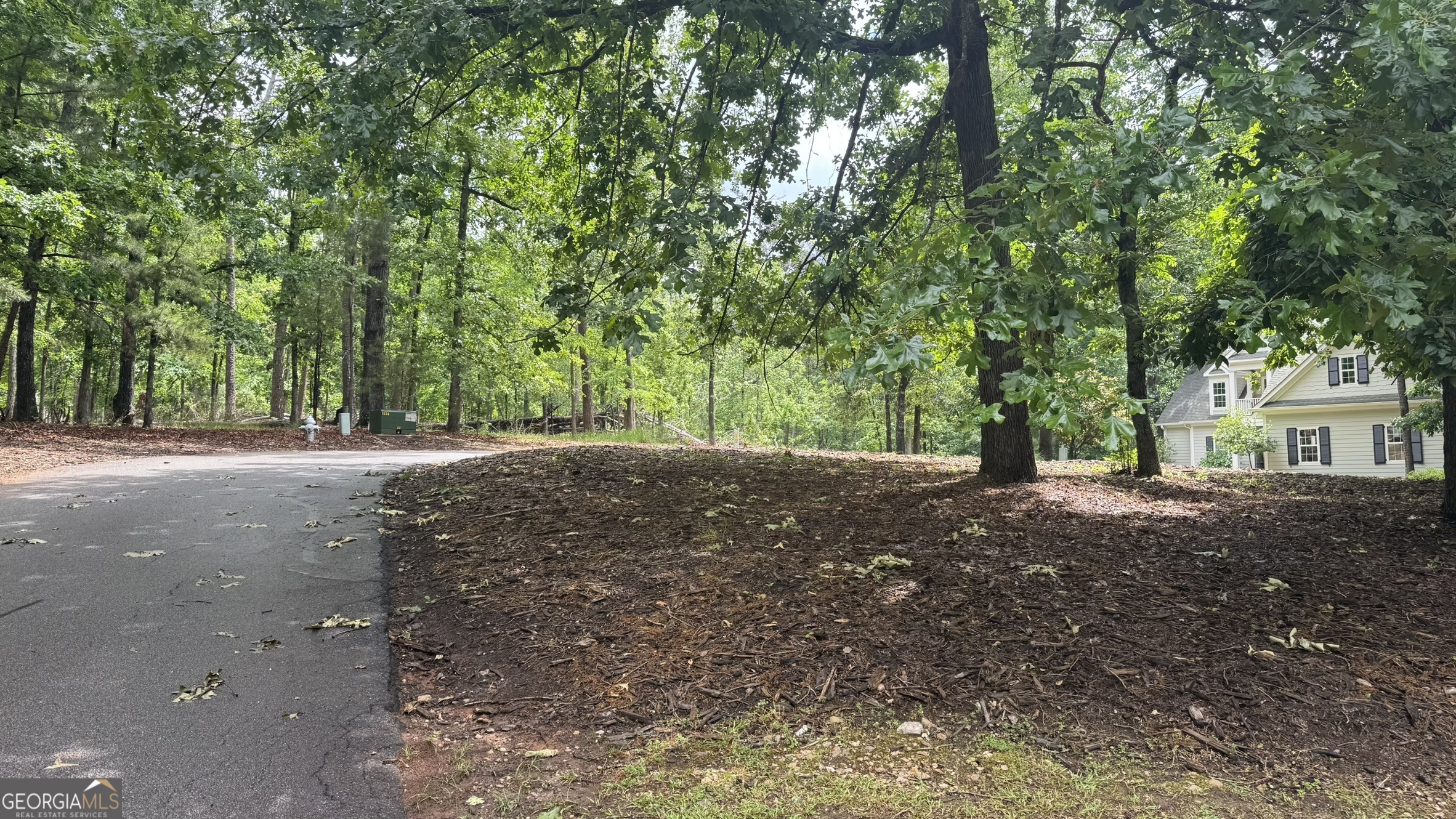 1011 Kakie Place Greensboro GA 30642