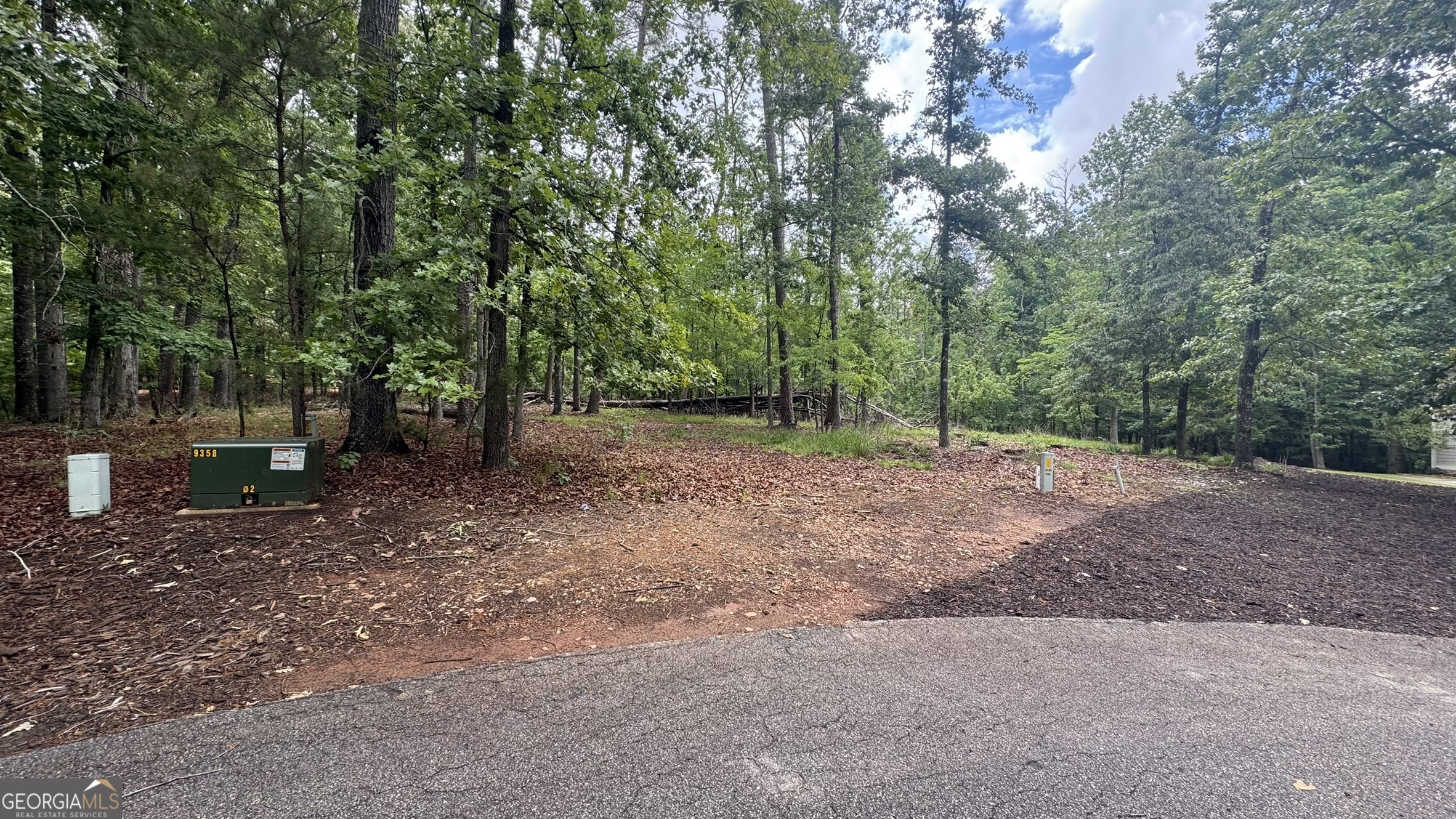 1011 Kakie Place Greensboro GA 30642