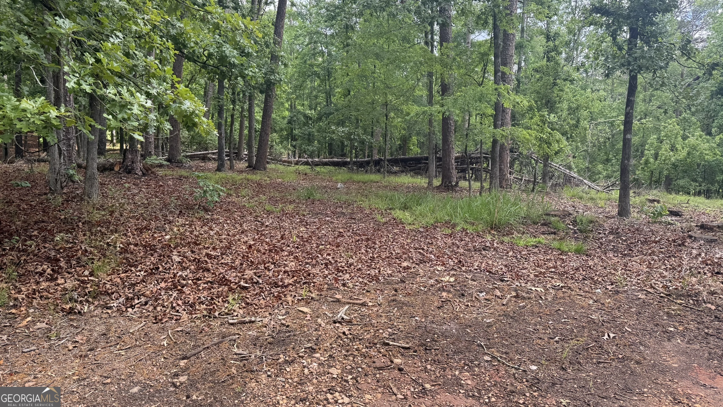1011 Kakie Place Greensboro GA 30642