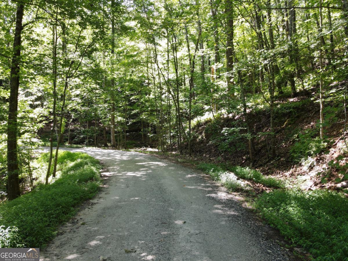 0 Bald Eagle Path Cleveland GA 30528