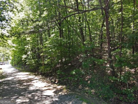 0 Bald Eagle Path Cleveland GA 30528