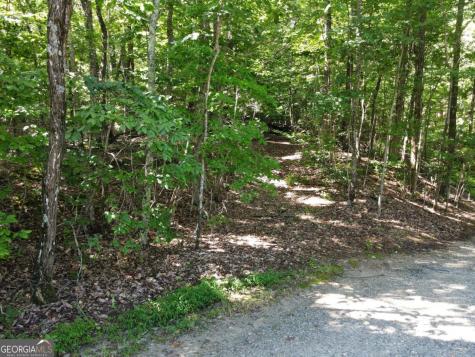 0 Bald Eagle Path Cleveland GA 30528